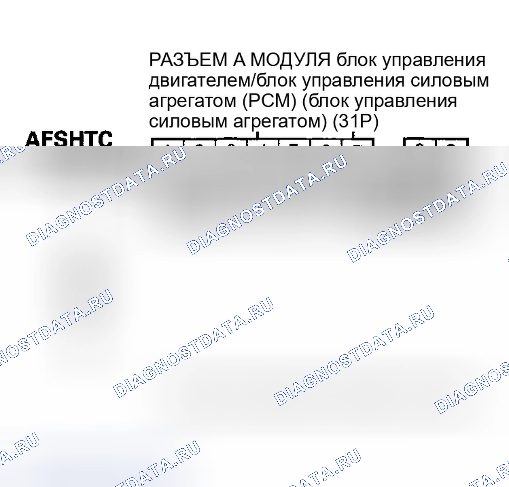 Рис. 95. Honda Element YH2