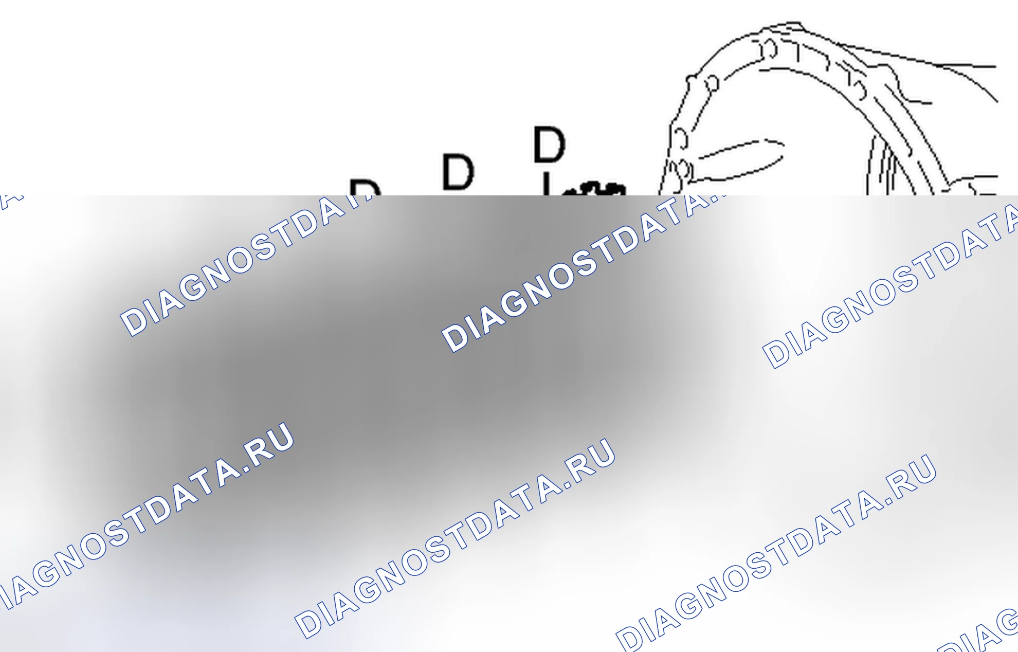 Рис. 343. Honda Accord IV