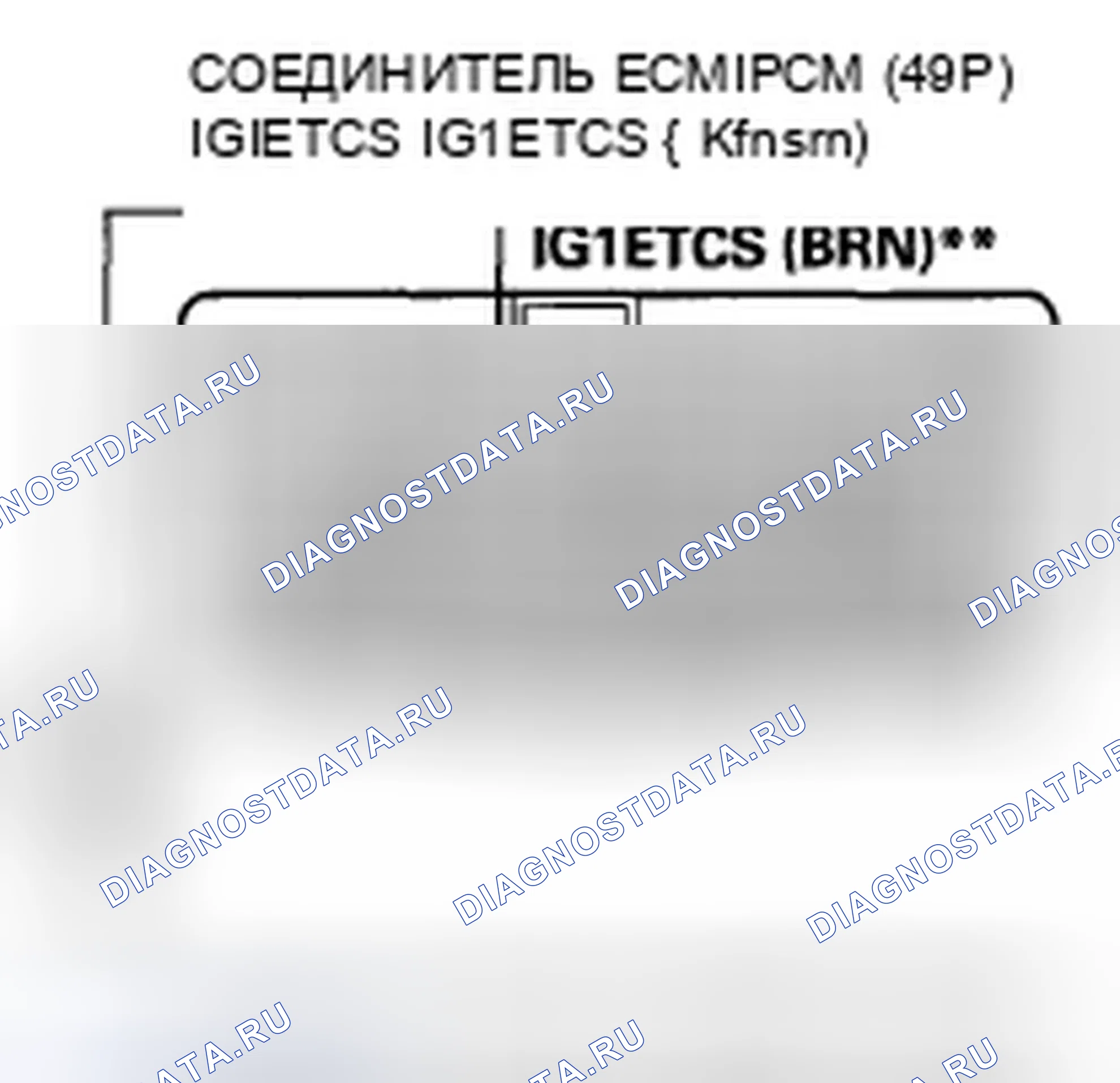 Рис. 542. Honda Accord VIII рестайлинг