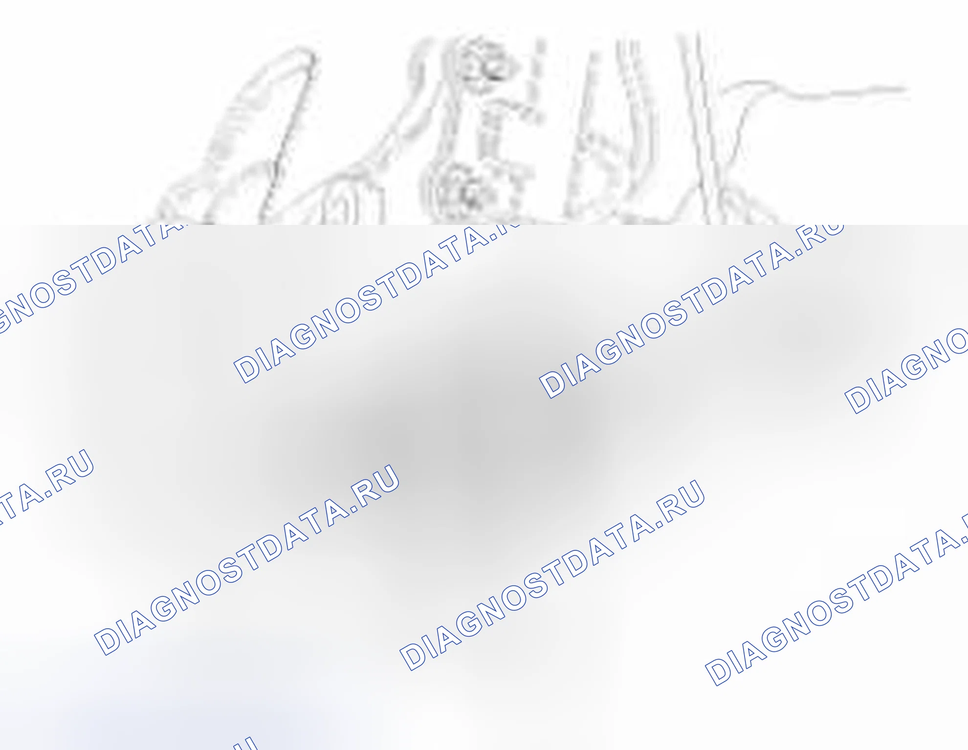Рис. 12. Geely Vision X3 Pro I