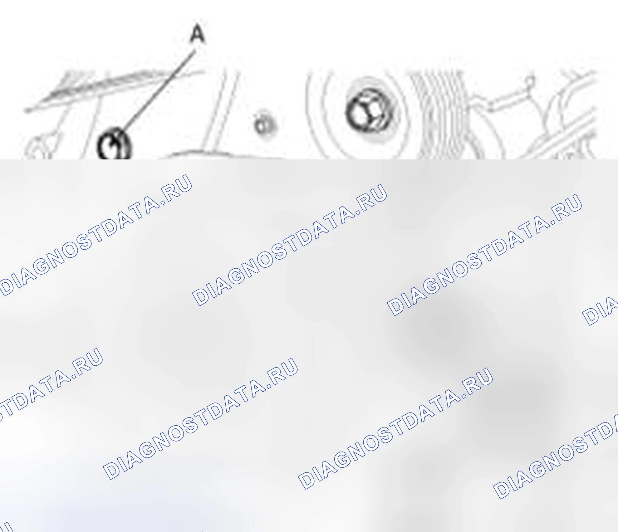 Рис. 5. Kia Forte I