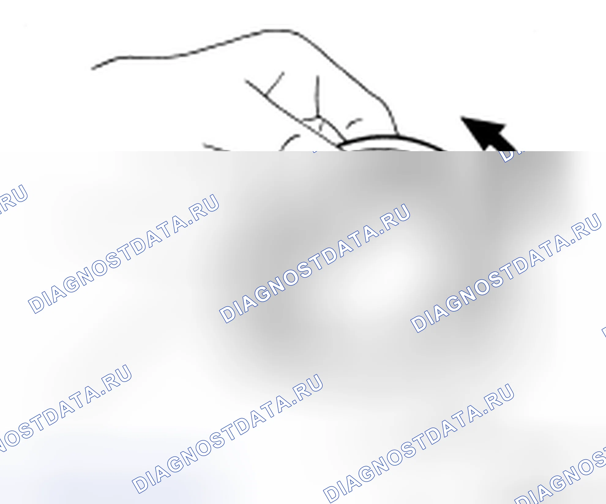 Рис. 105: Подшипник. Audi RS6 C8