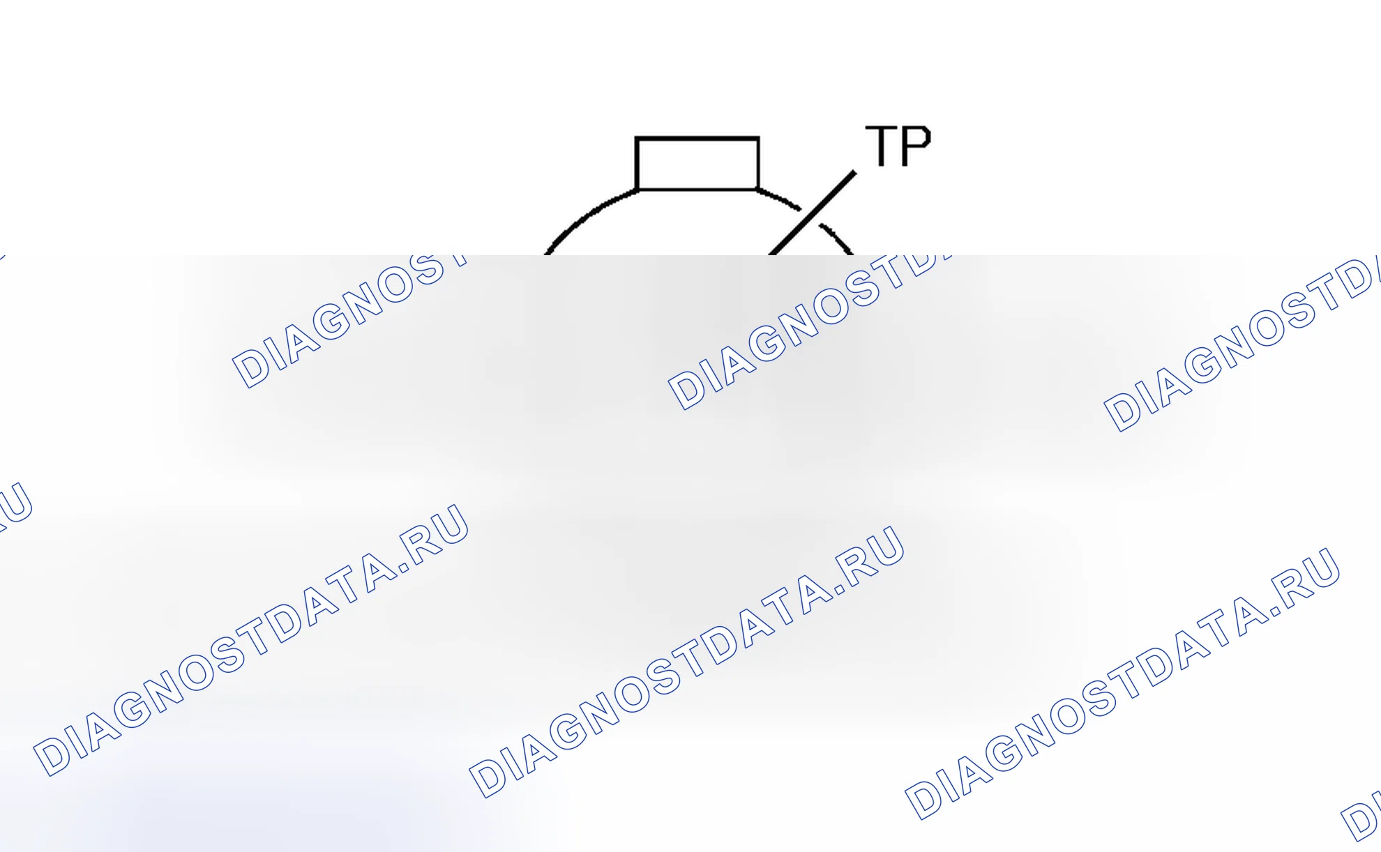 Рис. 16: ДАТЧИК ПОЛОЖЕНИЯ ДРОССЕЛЯ (Tp) расшифровка кода ошибки P0122. Honda Odyssey I
