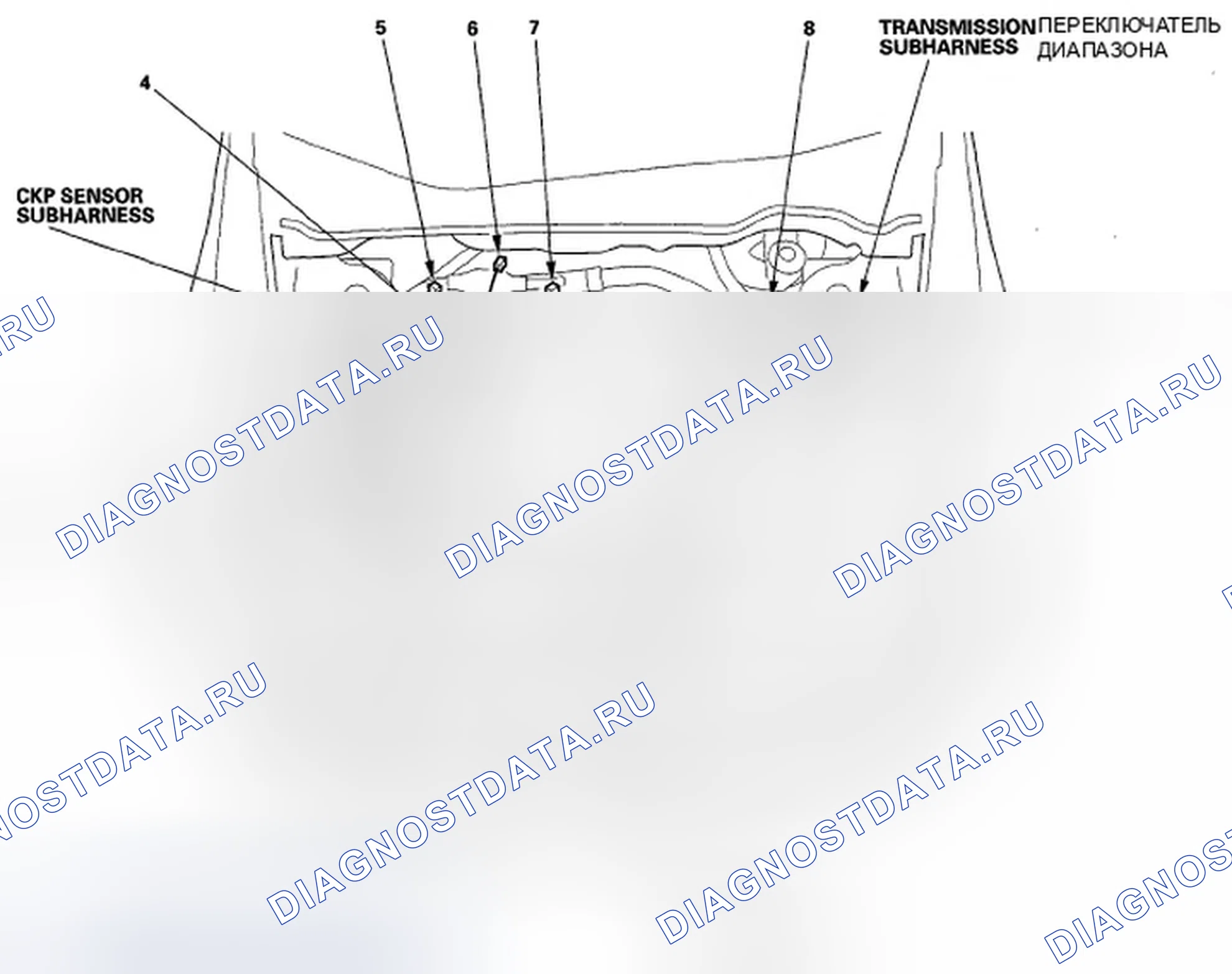 Рис. 178. Honda Accord VII рестайлинг