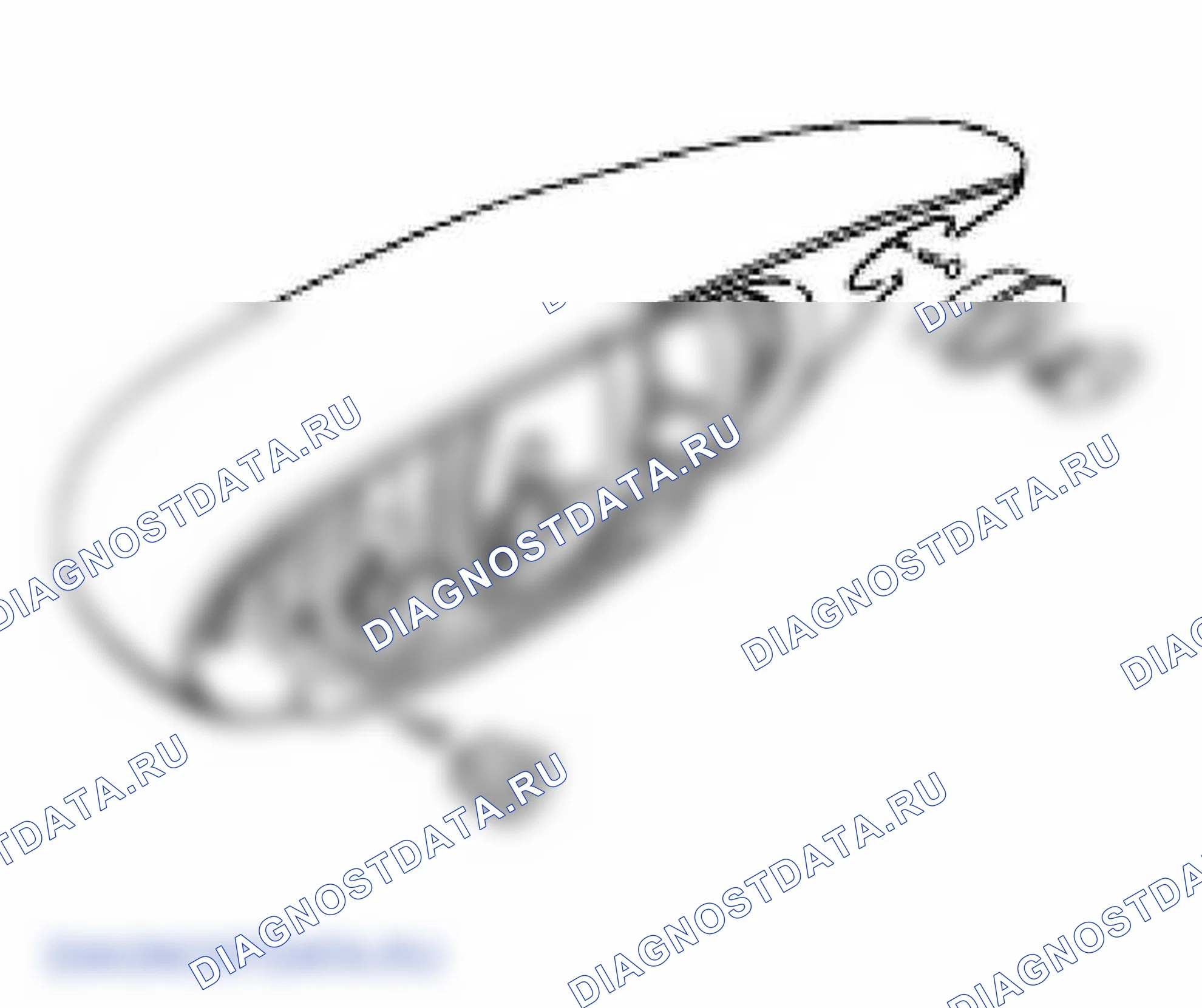 Рис. 25. Porsche 911 Turbo 996 рестайлинг