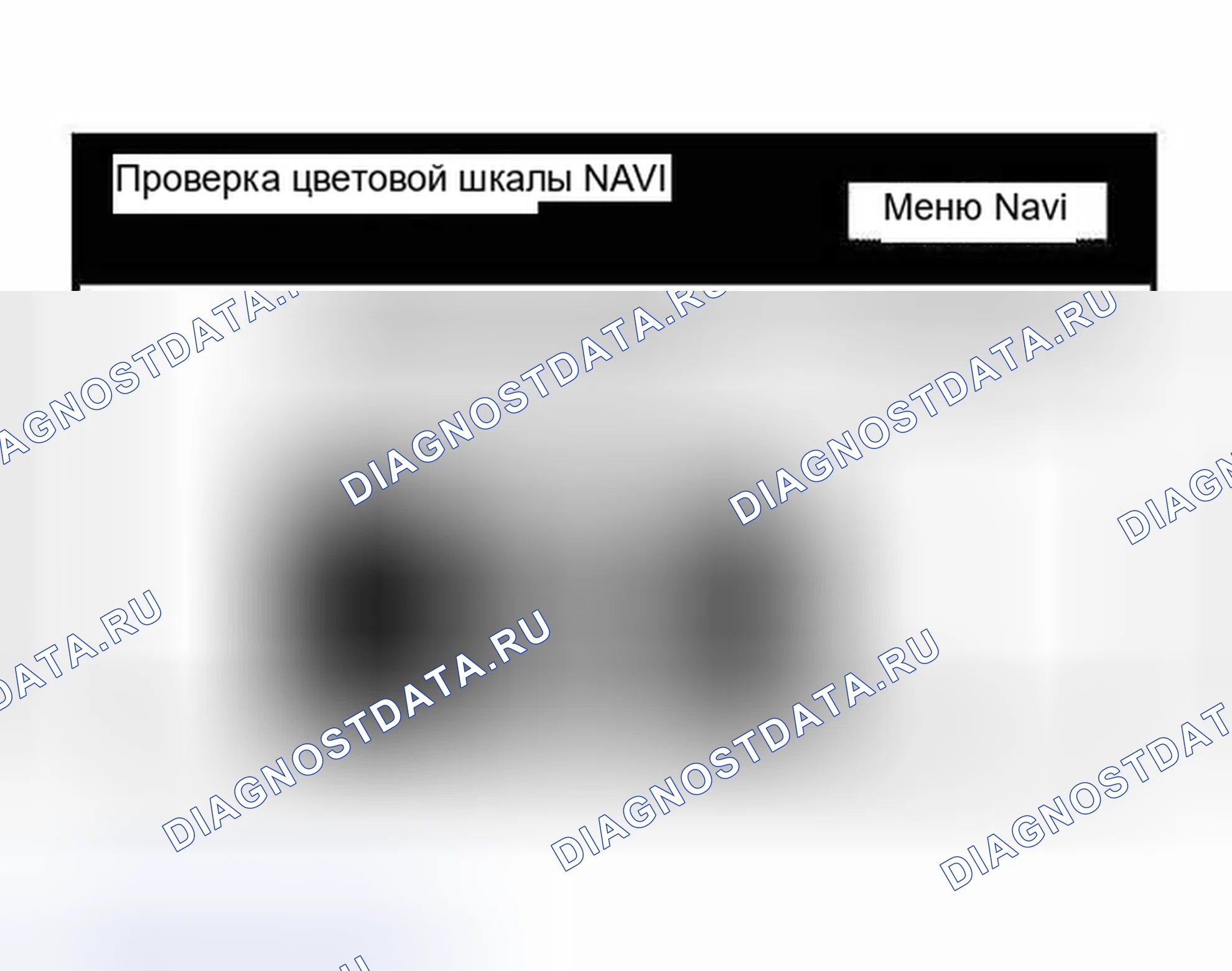 Рис. 261. Haval H5 I