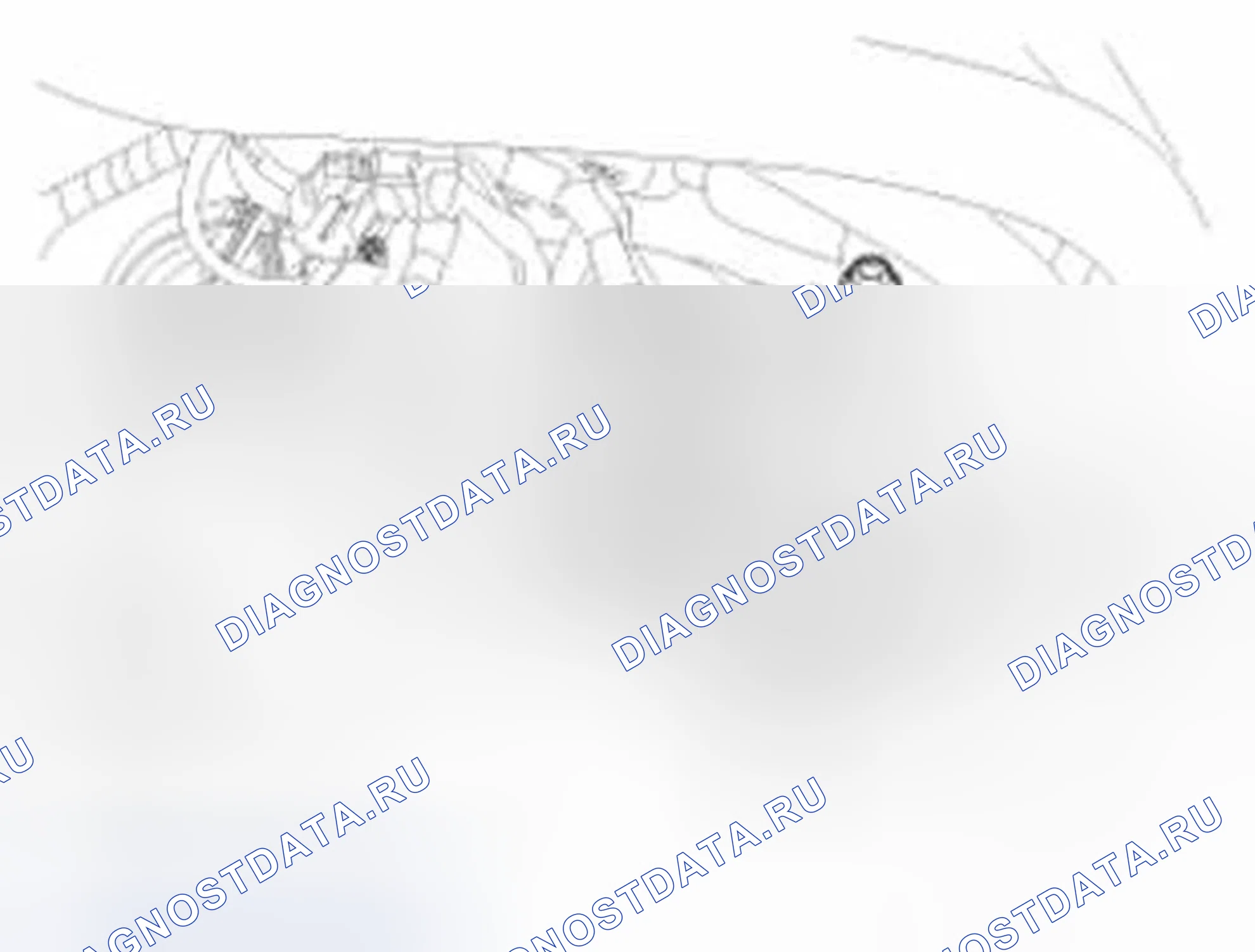 Рис. 707. Hyundai Sonata VI