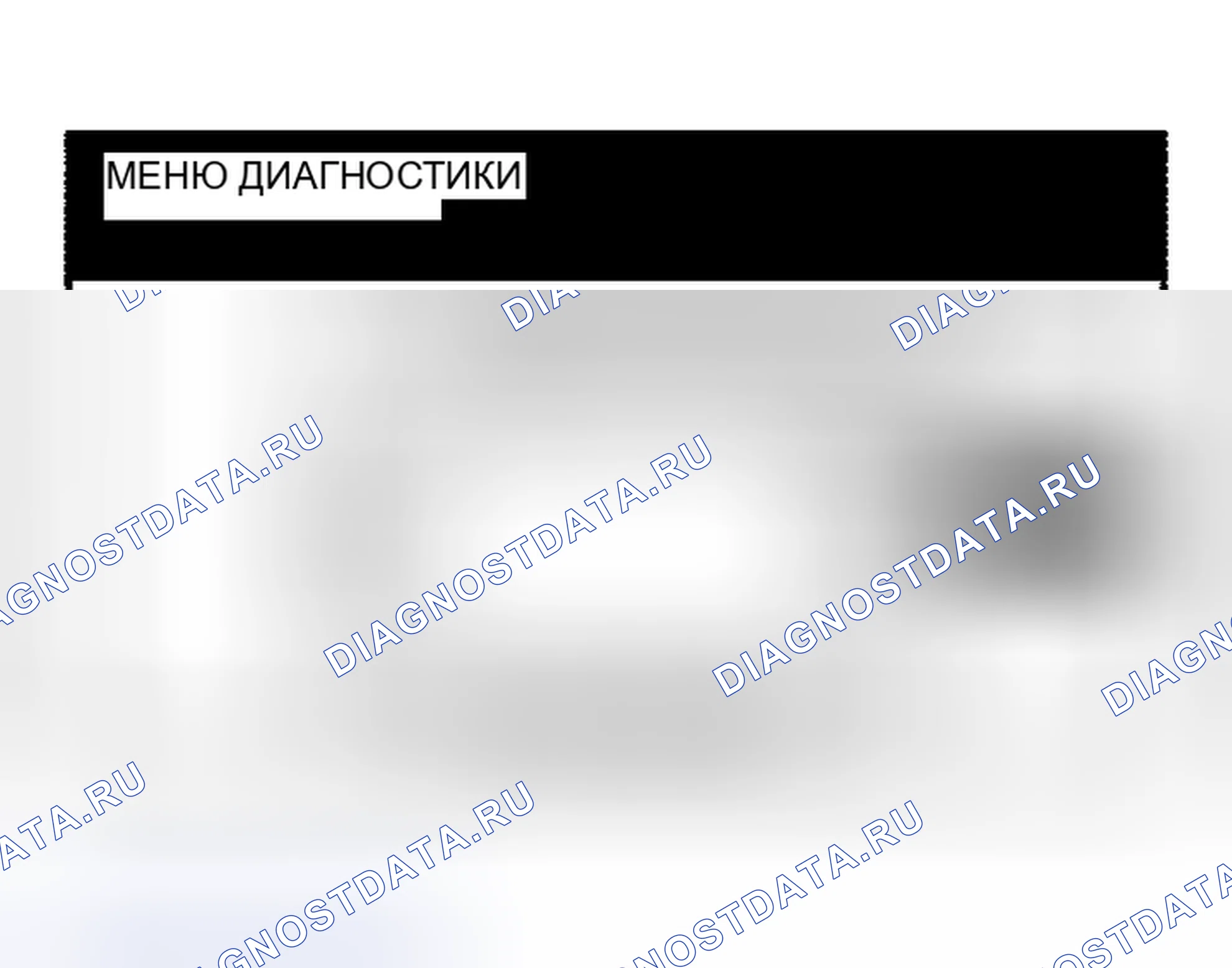 Рис. 51. Haval Xiaolong Max I
