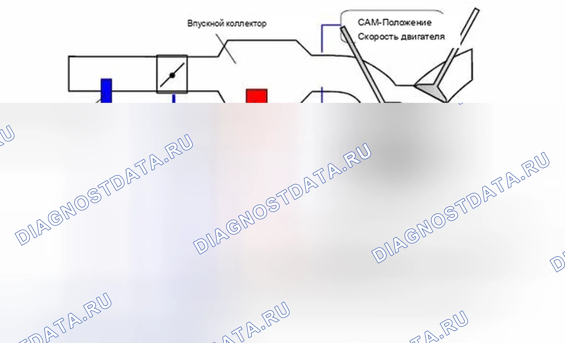 Рис. 52: 1.14.6.1.1 Функция контроля. BMW Z4 E89