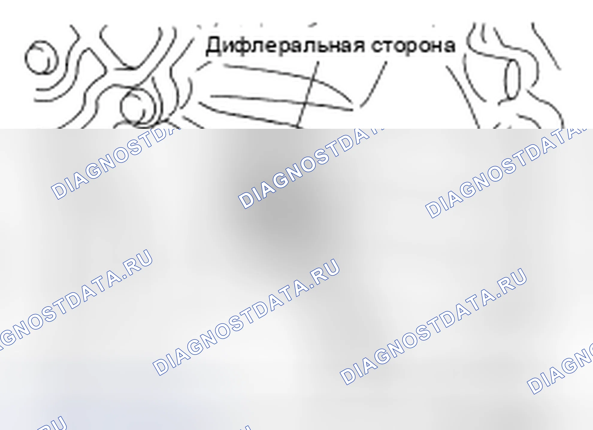Рис. 44: ДЕМОНТАЖ. Honda UR-V I