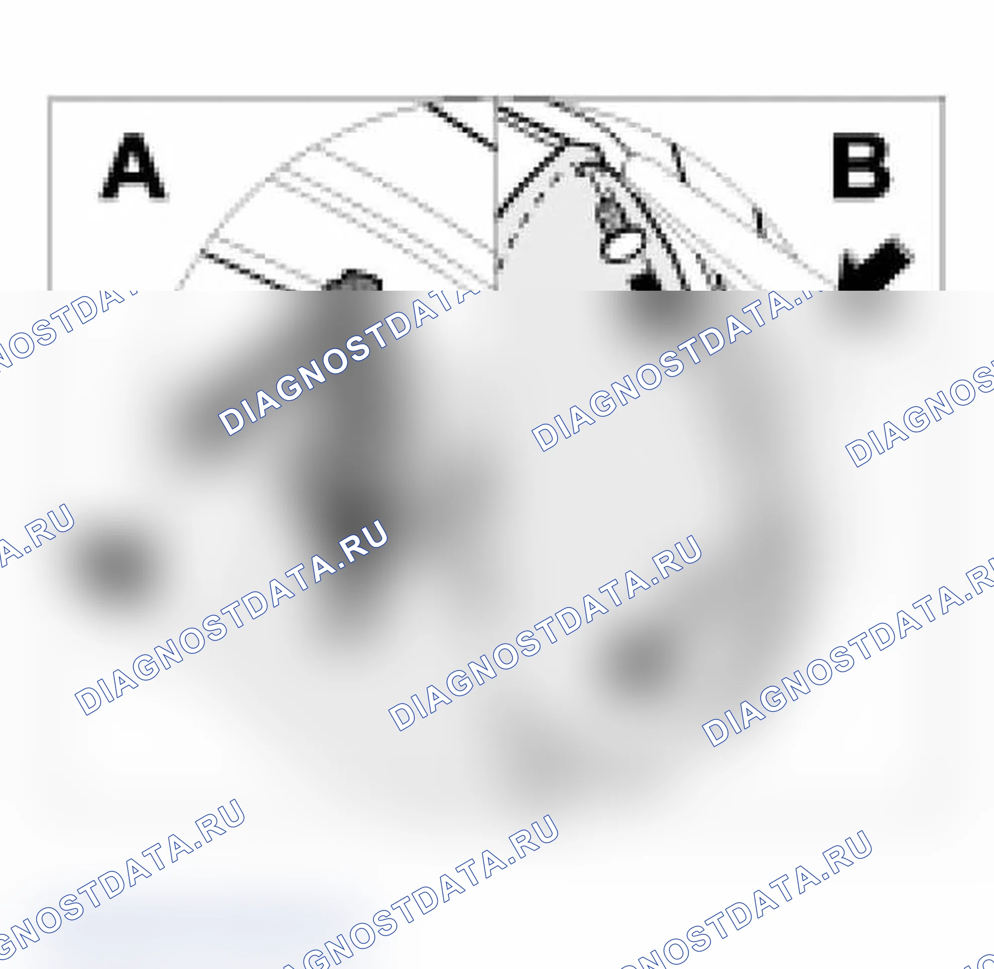 Рис. 16. Porsche Boxster S 986