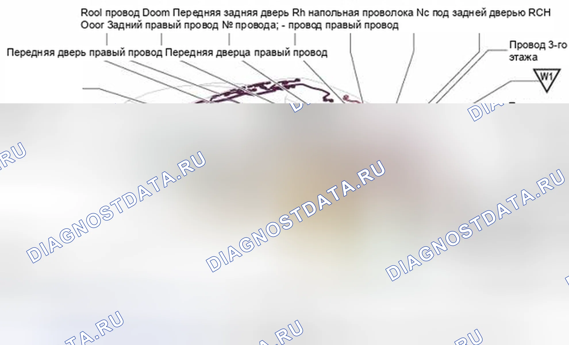 Рис. 326: Расположение наземных точек. Honda Accord IV