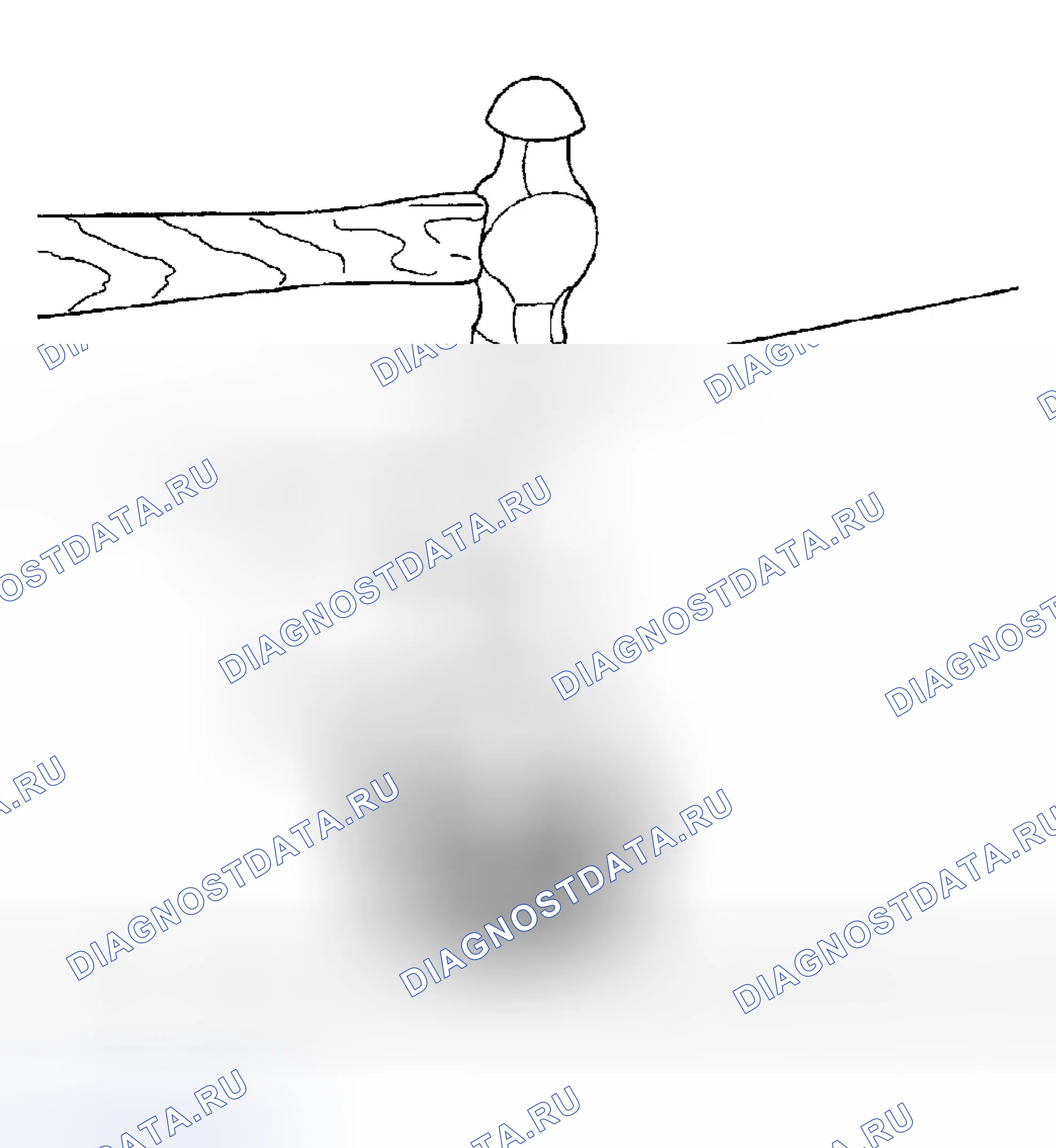 Рис. 173. Dodge Pickup R1500 