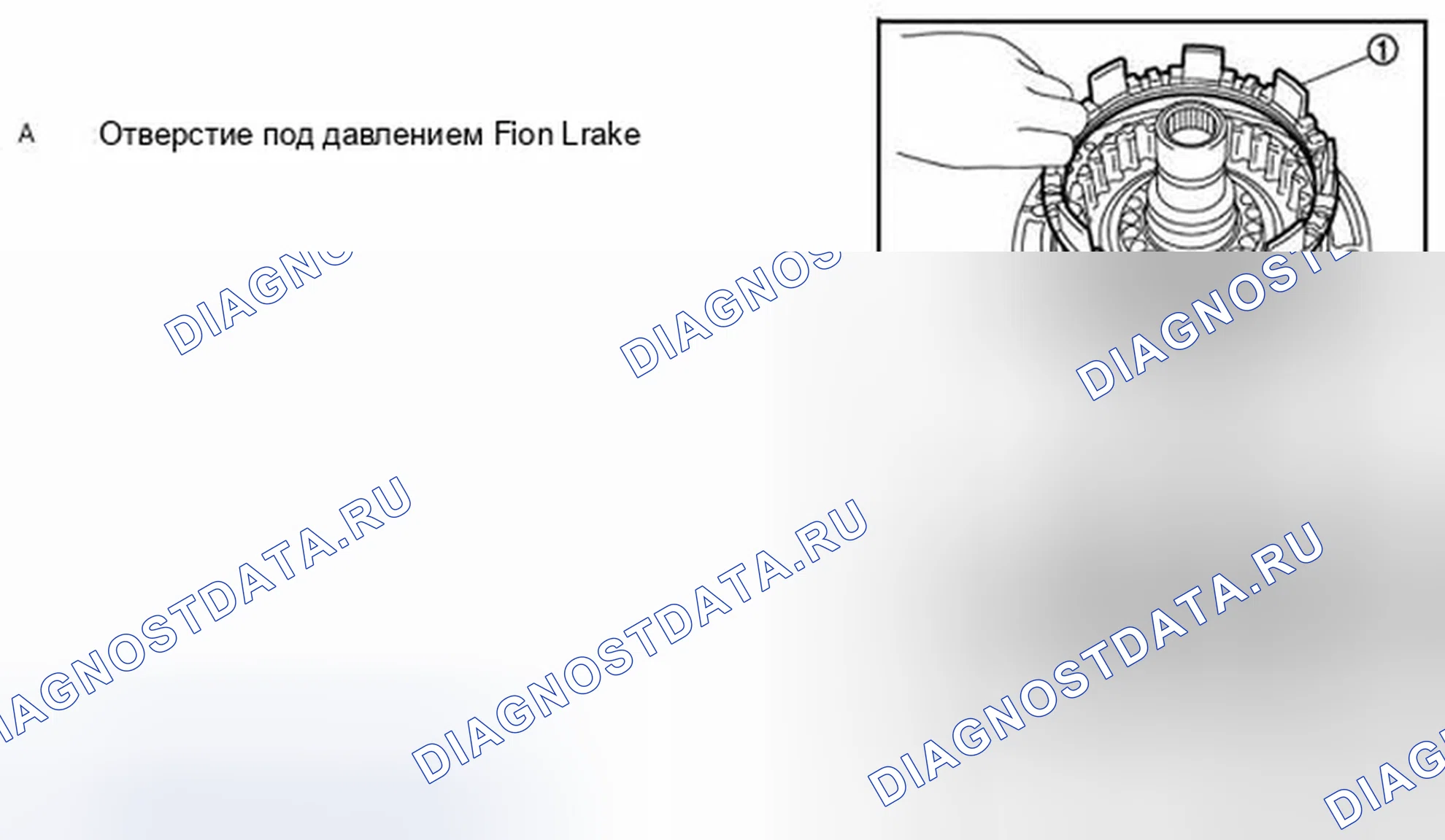 Рис. 320. Infiniti M37 IV