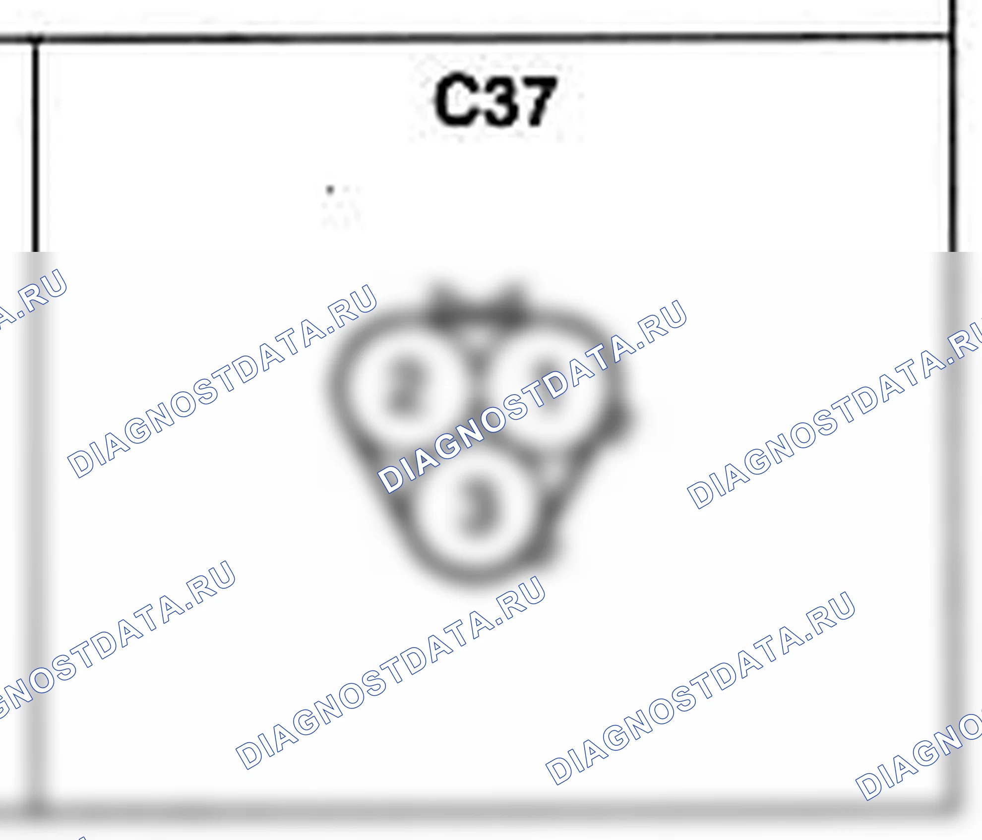 Распиновка разъёма C37 — жгута управления. Hyundai H-1 A1