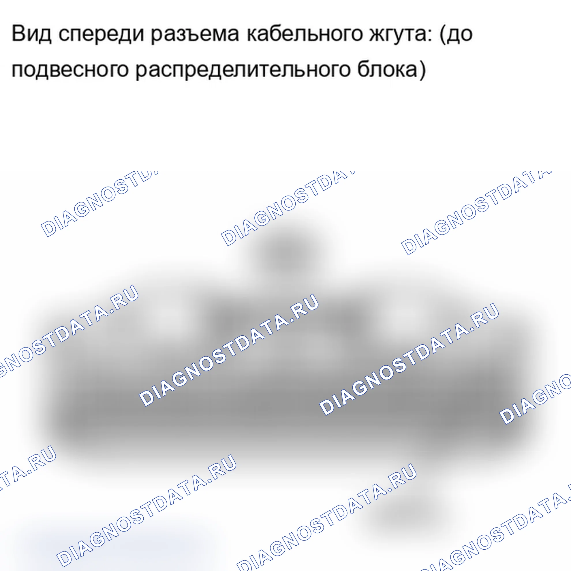 Рис. 146. Lexus IS F I