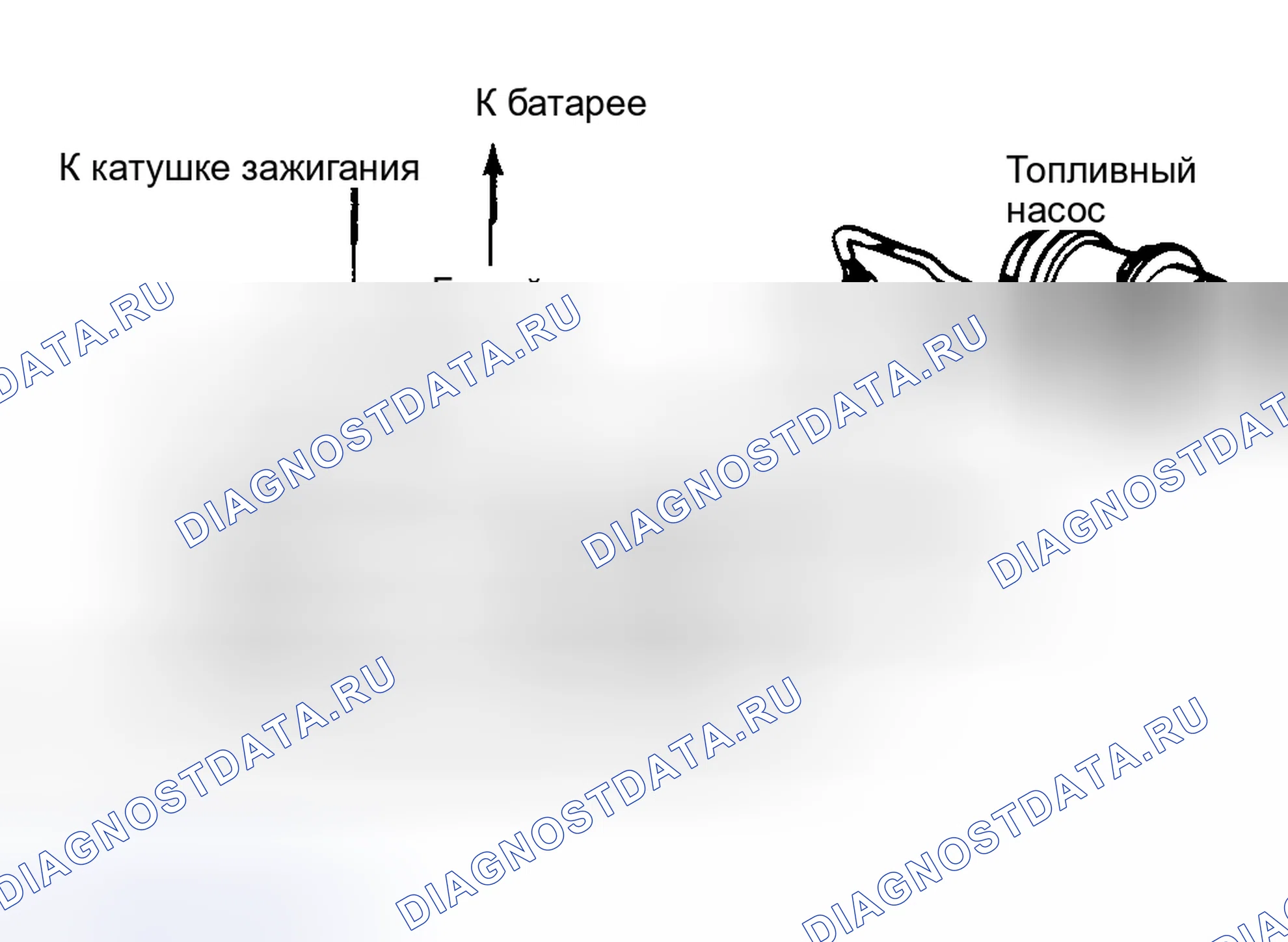 Рис. 21: Электрическая схема и компоненты топливного насоса. Honda Accord II