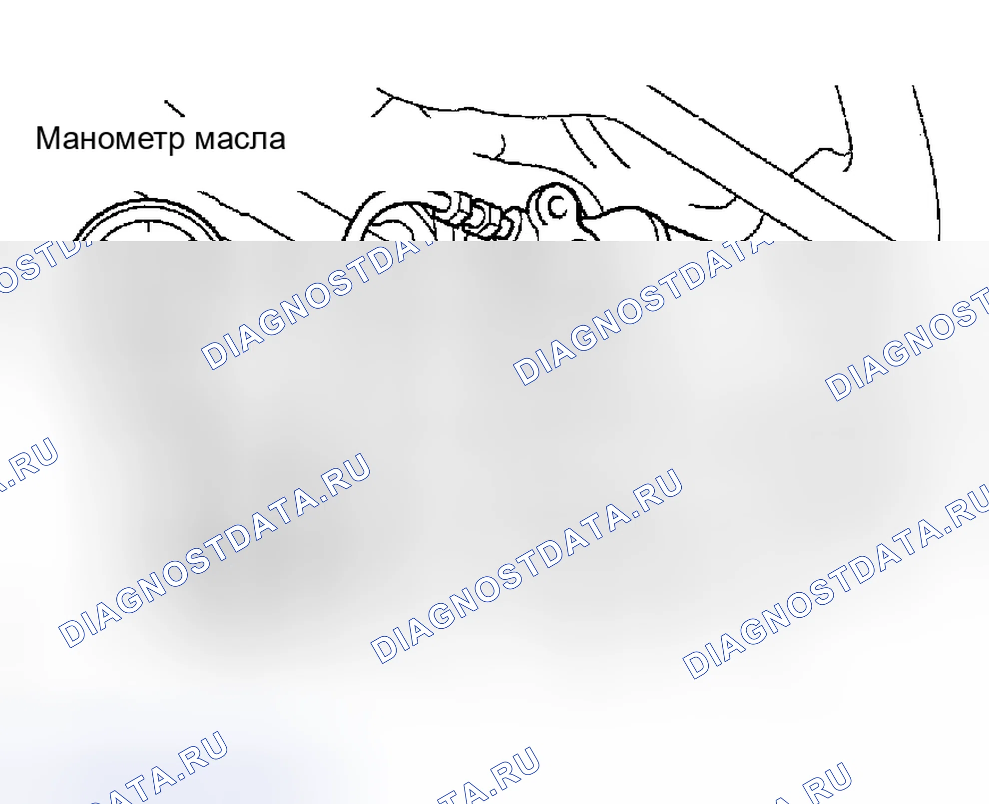Рис. 3. Honda Accord II