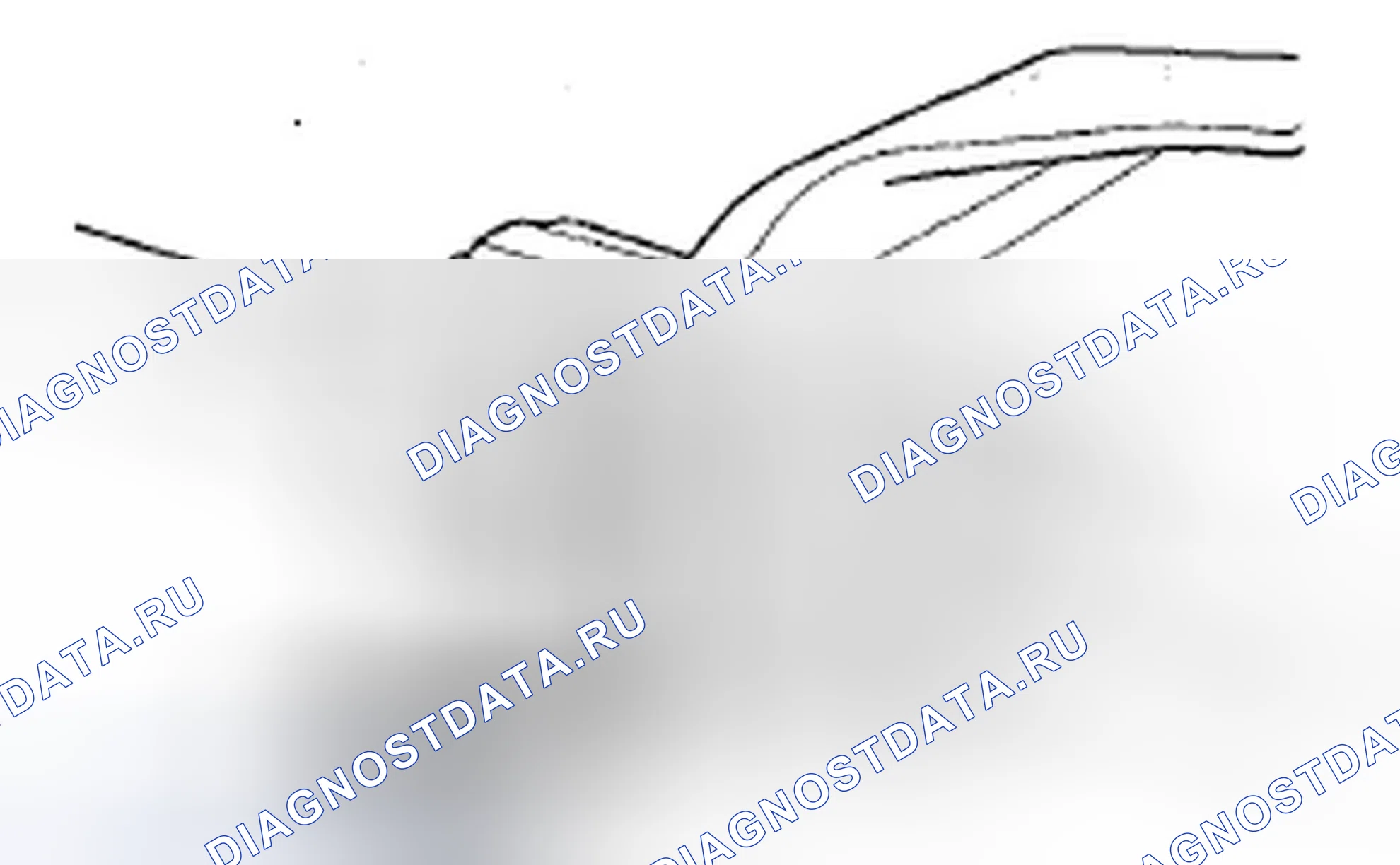 Рис. 410. Acura ZDX I
