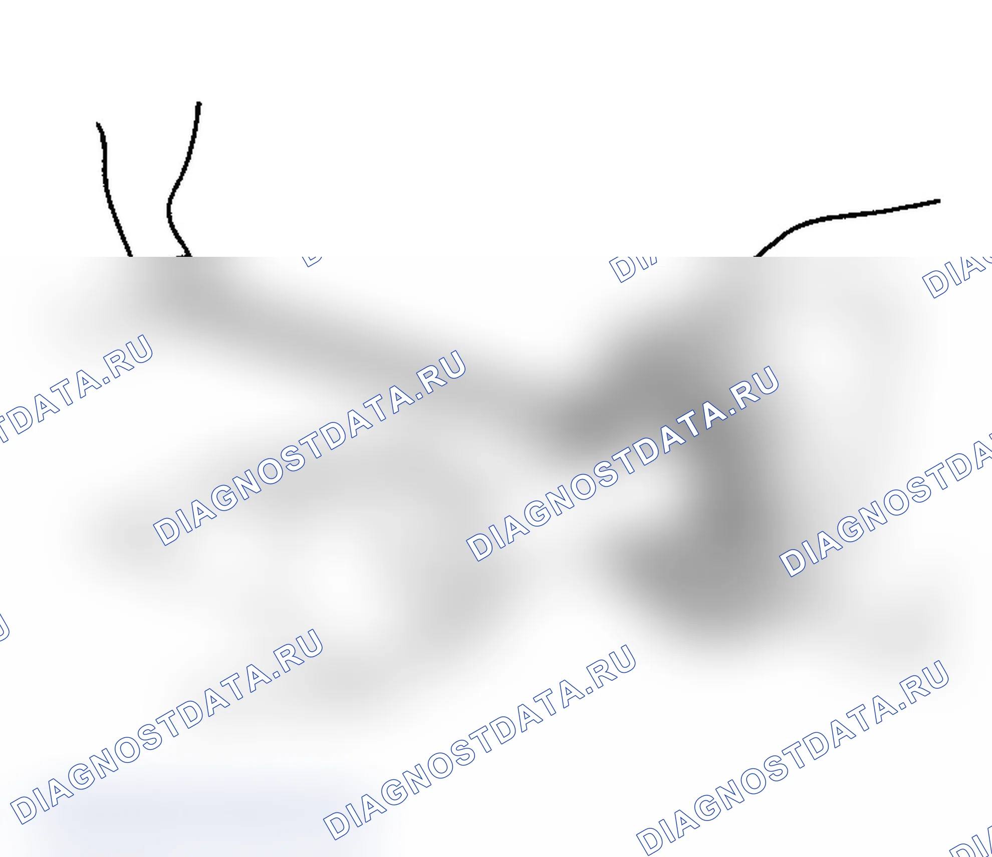 Рис. 62. Subaru Impreza WRX GD/GG рестайлинг