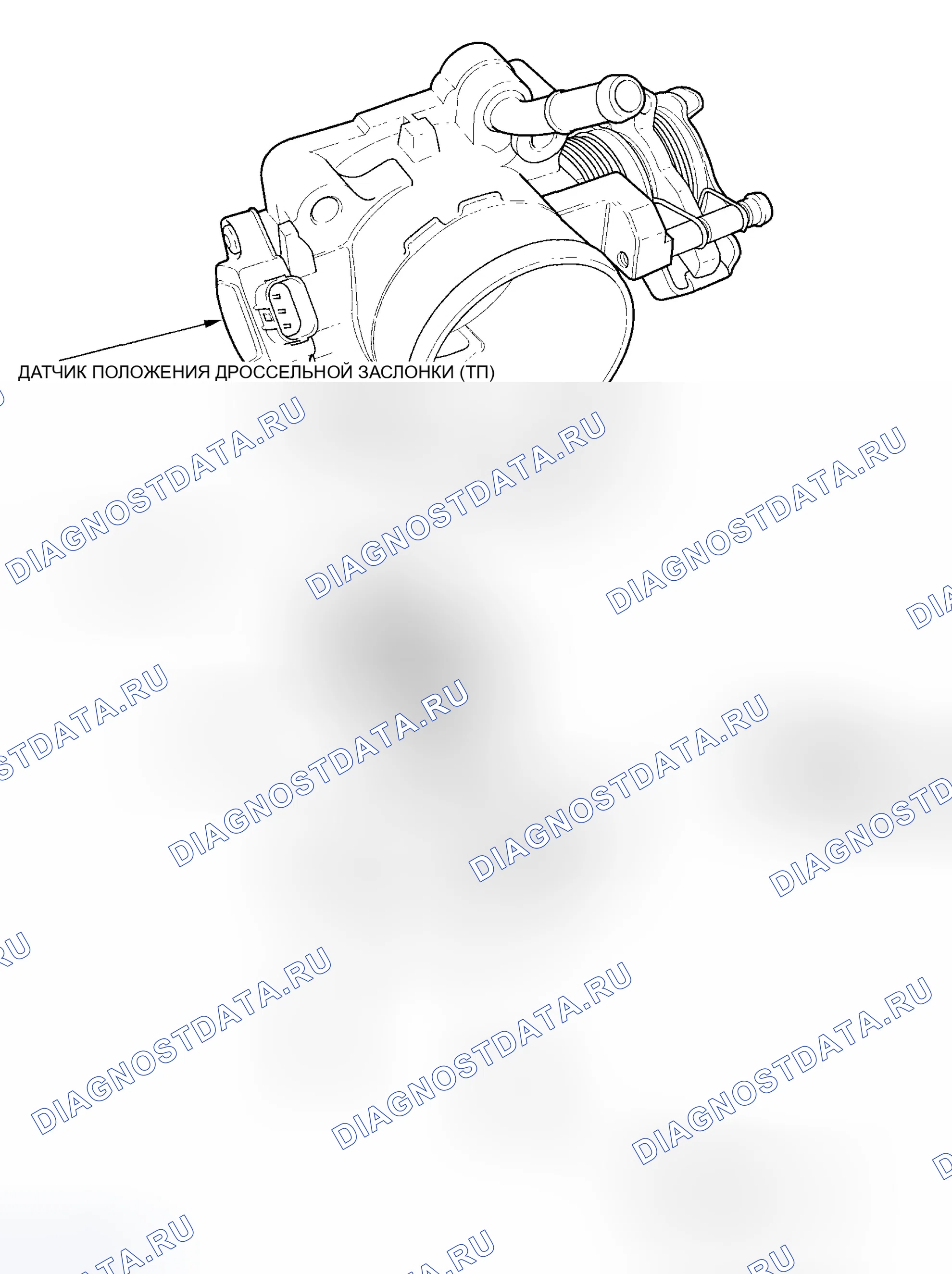 Рис. 245: Разборка / повторная сборка корпуса дроссельной заслонки. Honda Element YH2
