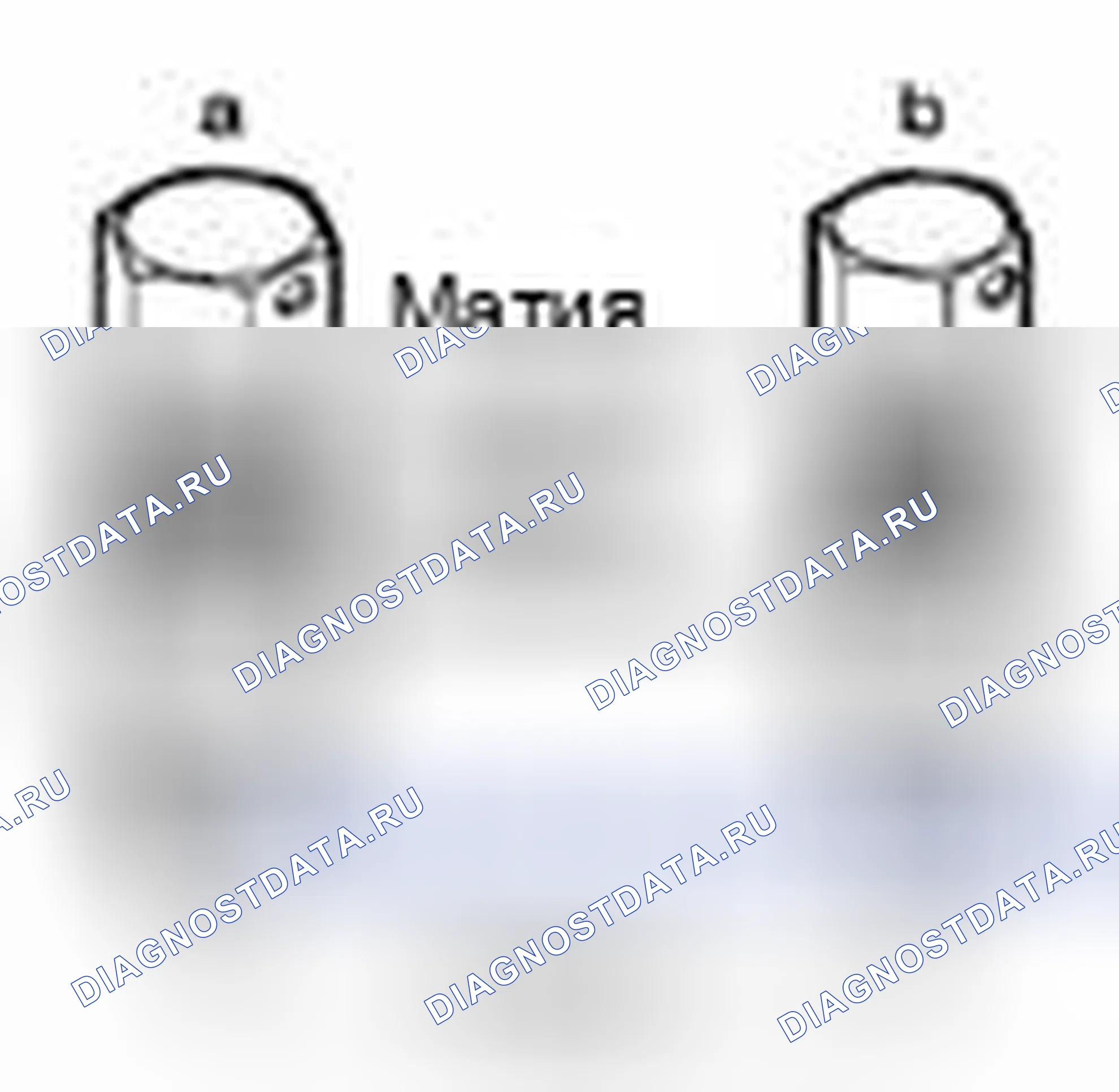 Рис. 16. Suzuki Equator I