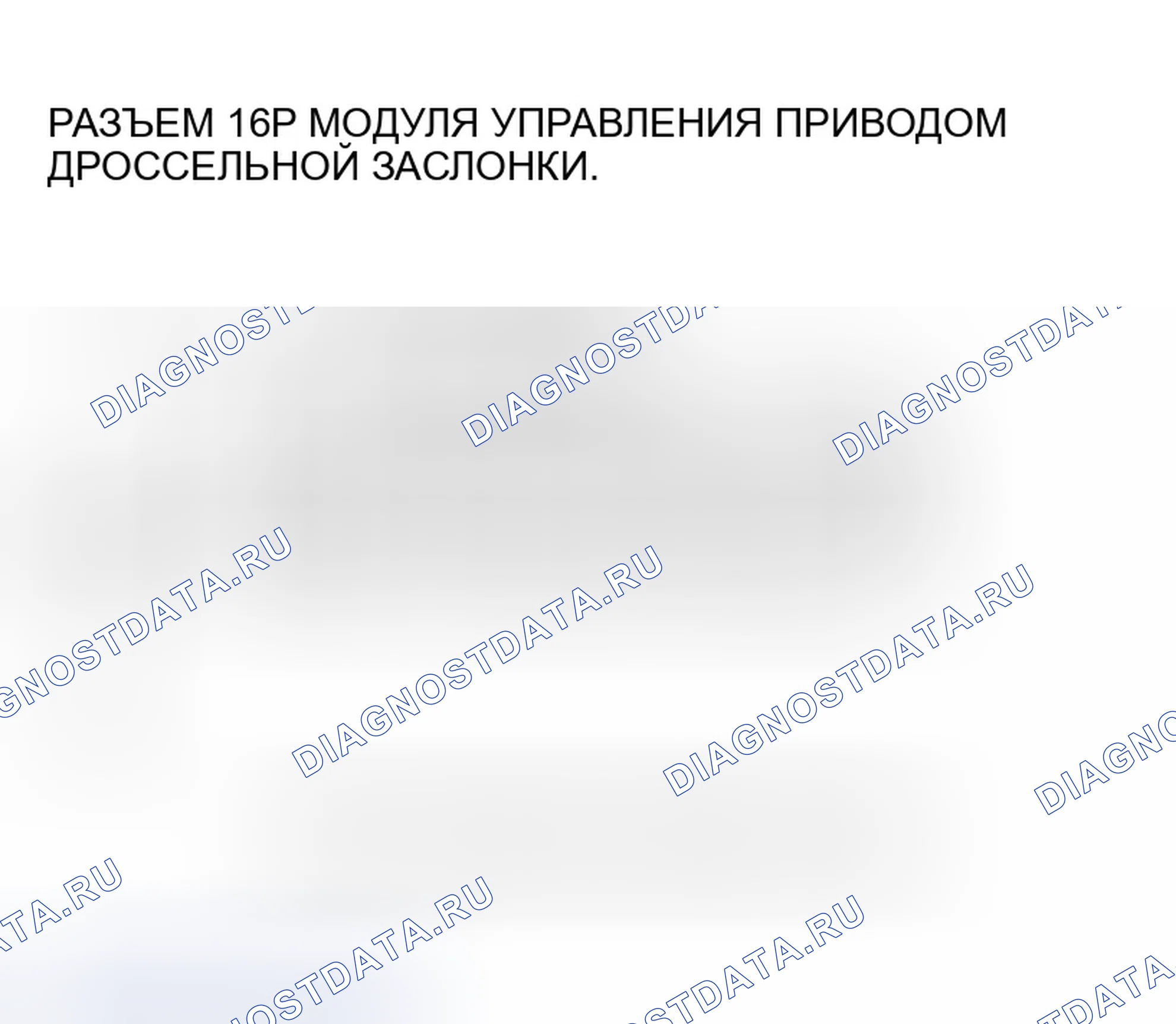 Рис. 764. Honda Accord VII рестайлинг