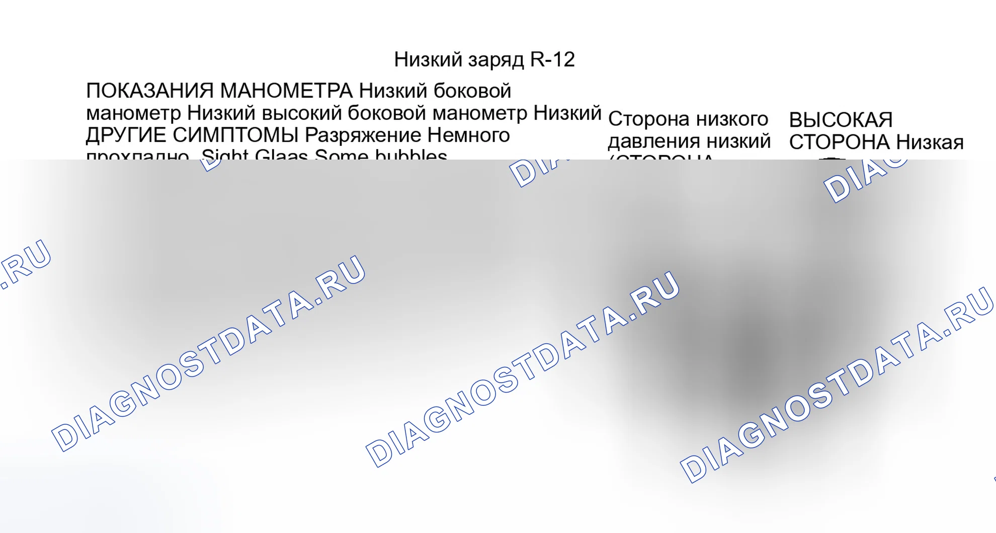 Рис. 10. Dodge Dakota WS 