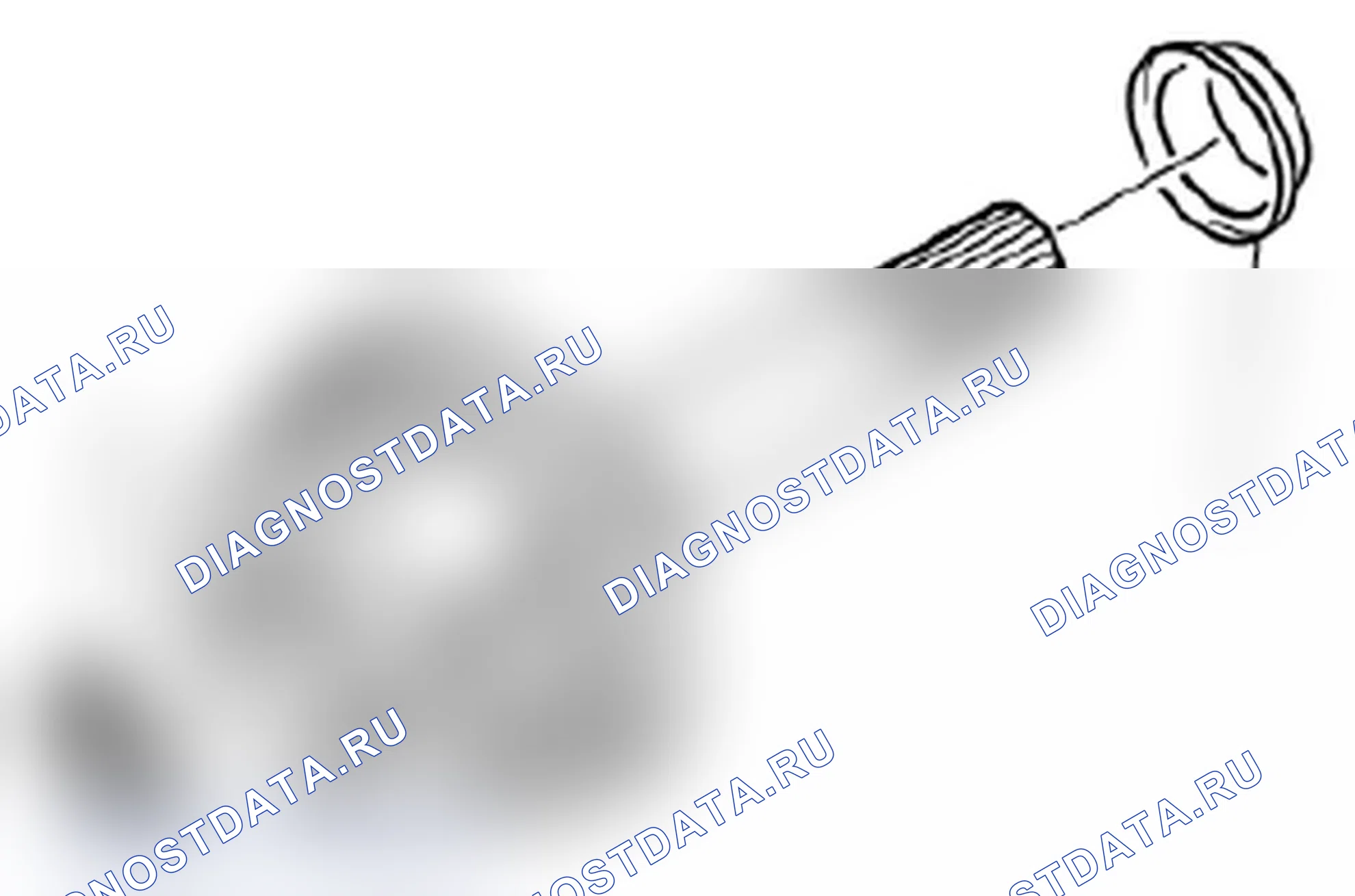 Рис. 246. Suzuki Grand Vitara II