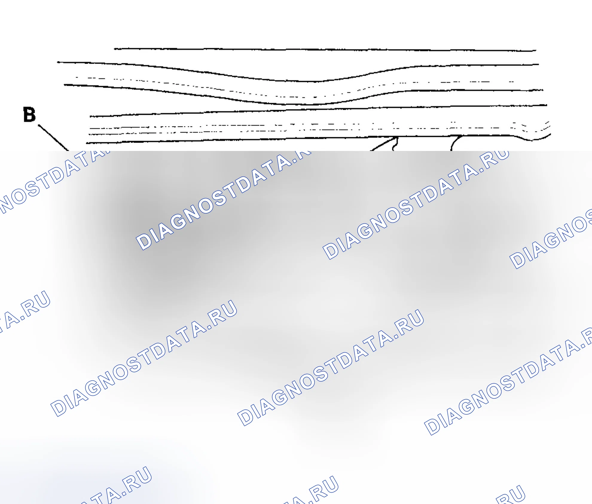 Рис. 11. Honda Civic VII рестайлинг
