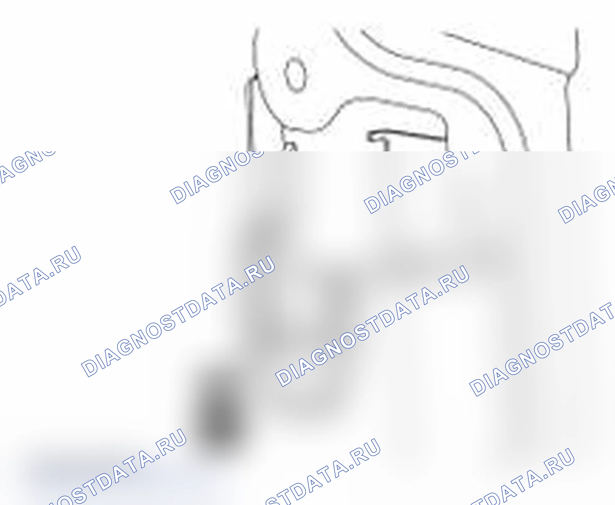 Рис. 83. Ford Transit Connect I рестайлинг