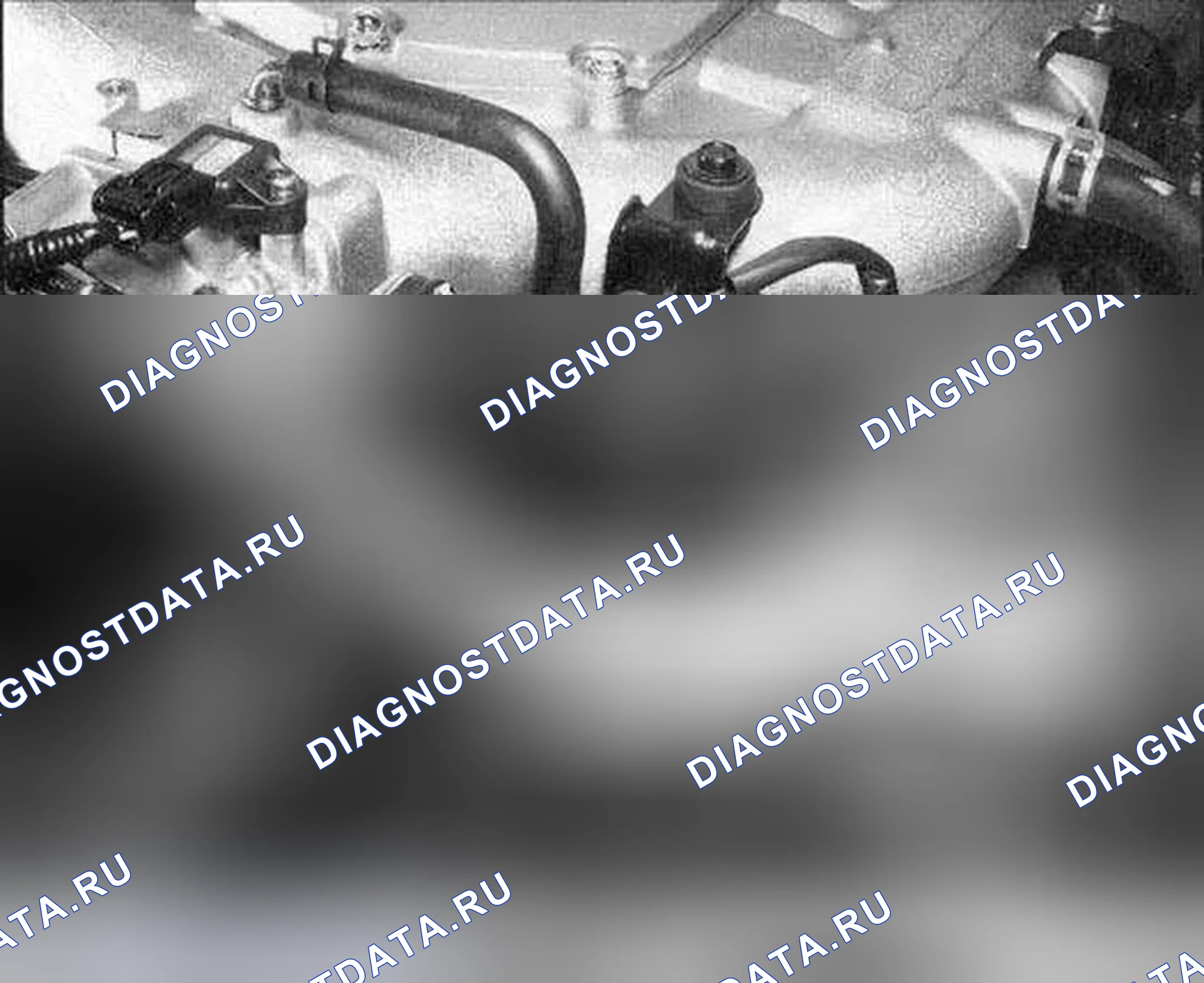 Рис. 316. Honda Accord VII рестайлинг