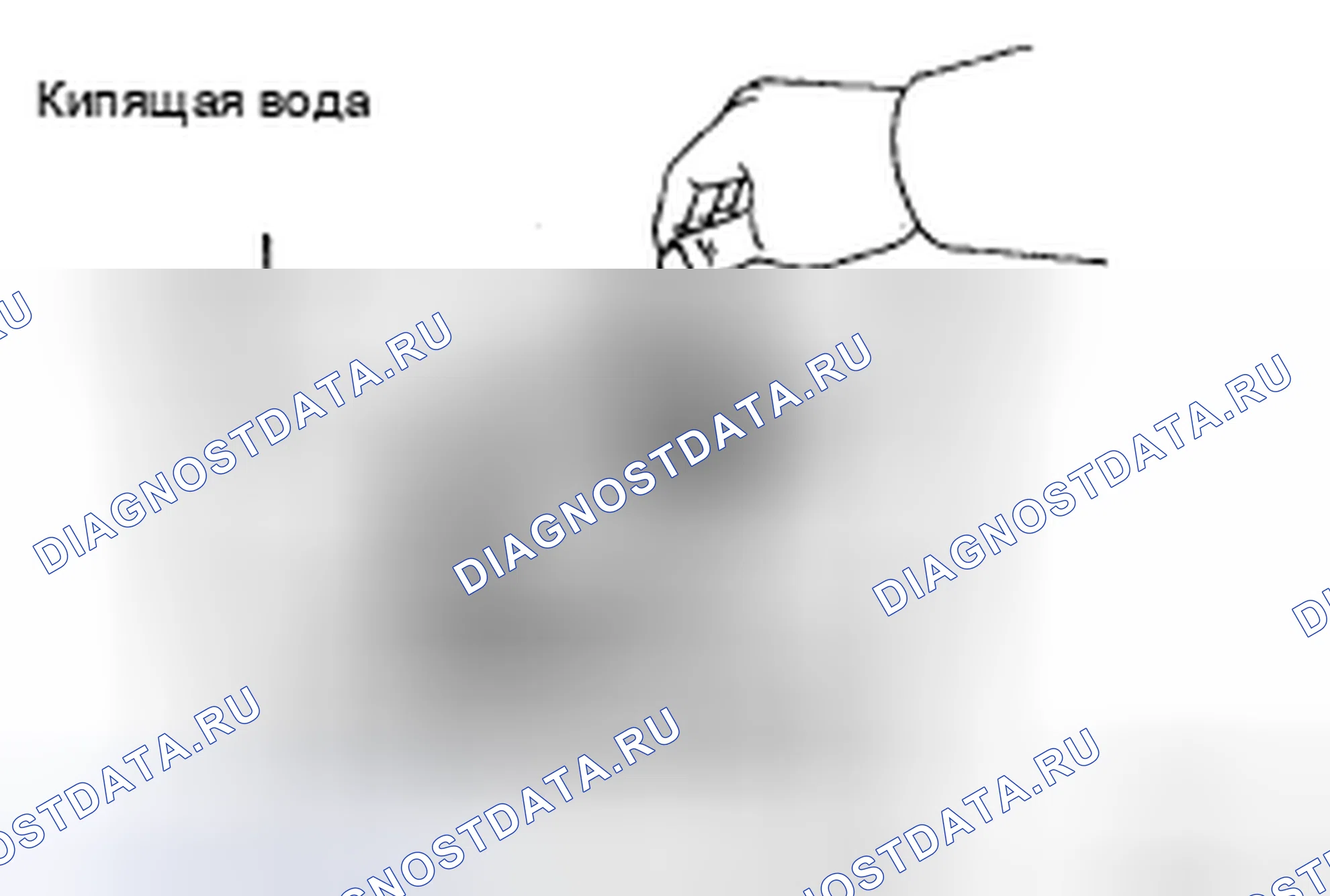 Рис. 54. Toyota Sienna II рестайлинг