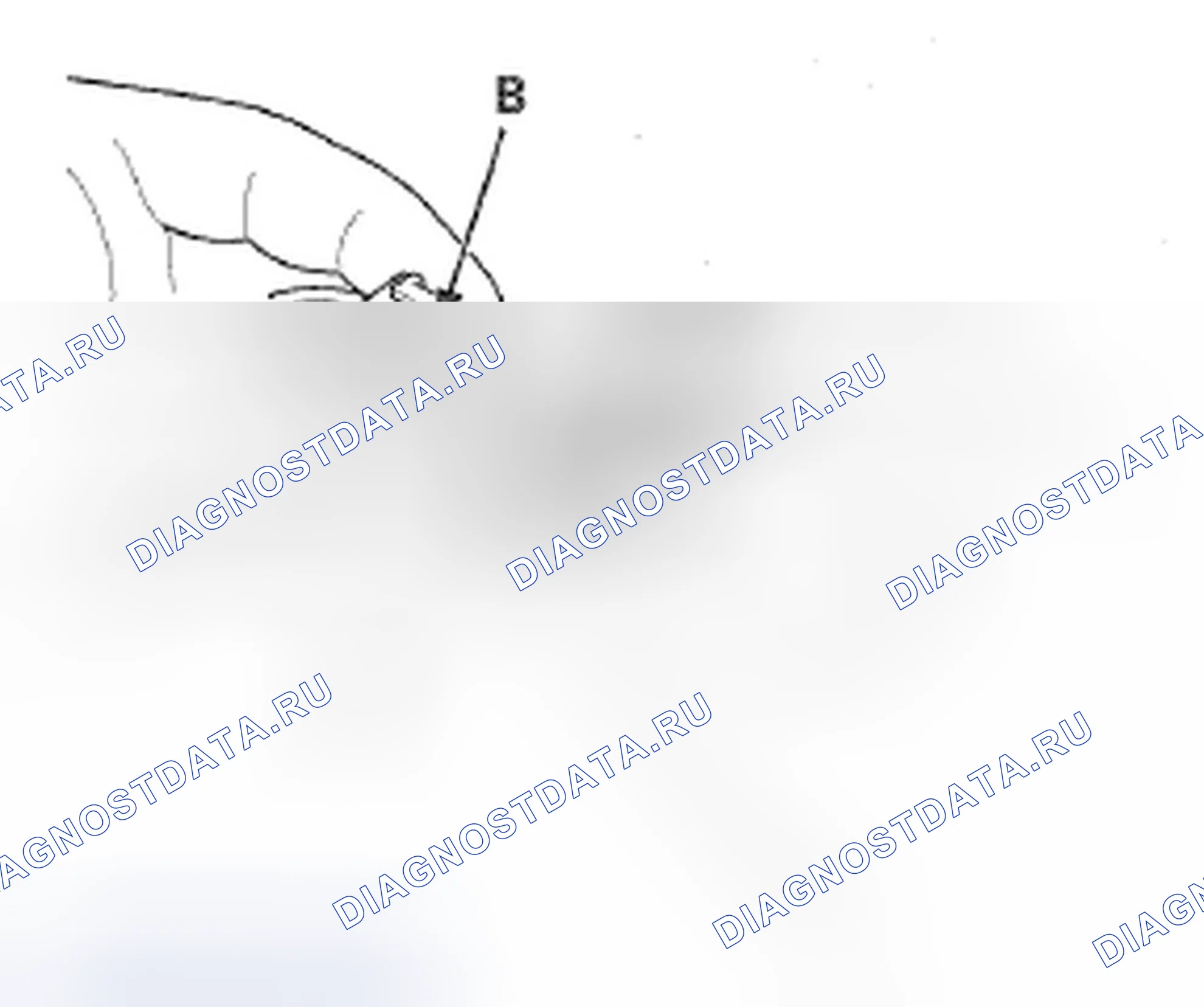 Рис. 549: Подключение. Honda Crosstour I