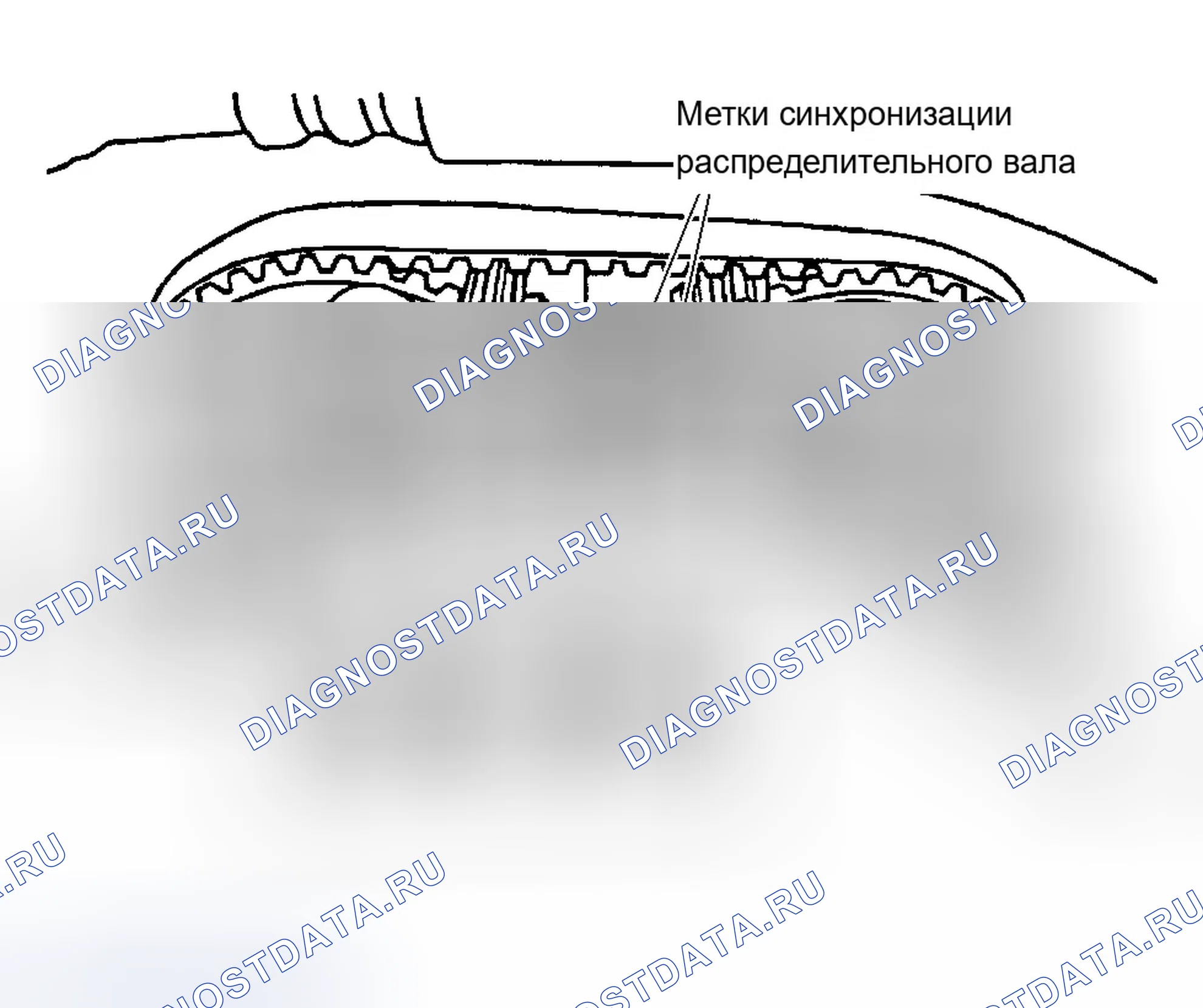 Рис. 6. Chevrolet Aveo I рестайлинг