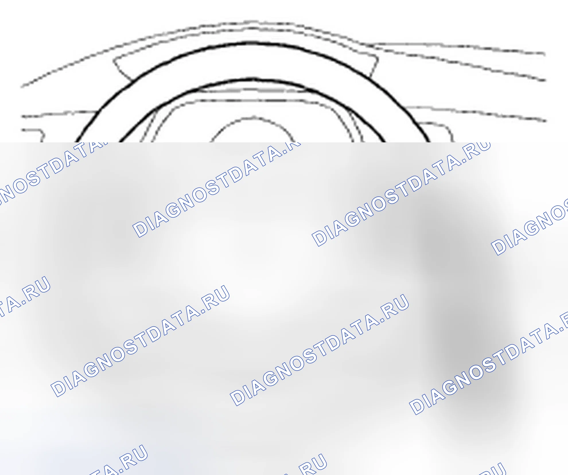 Рис. 32: Проверка Питание ассистент. Honda Civic VIII рестайлинг
