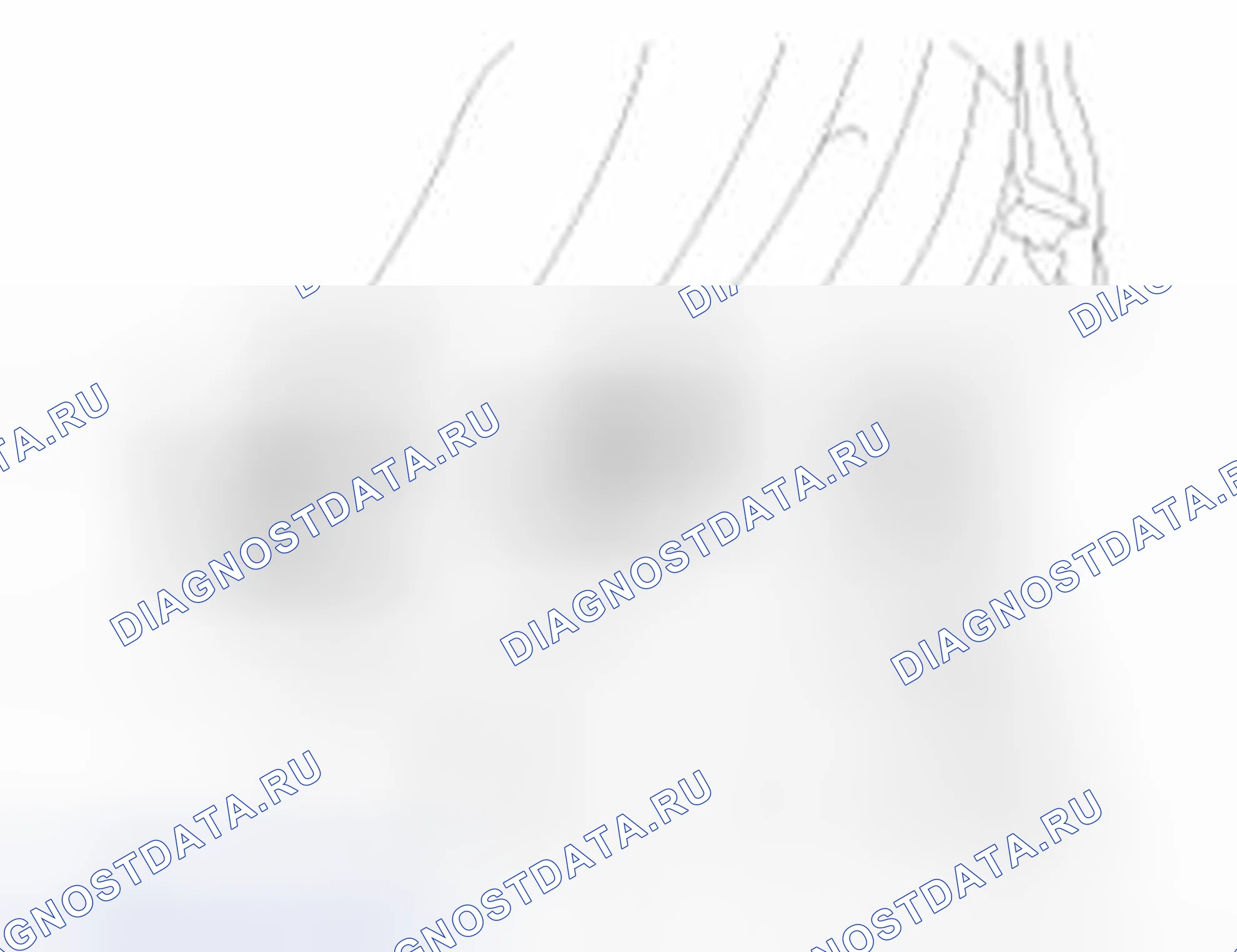 Рис. 37. Haval Beast (Shenshou) I