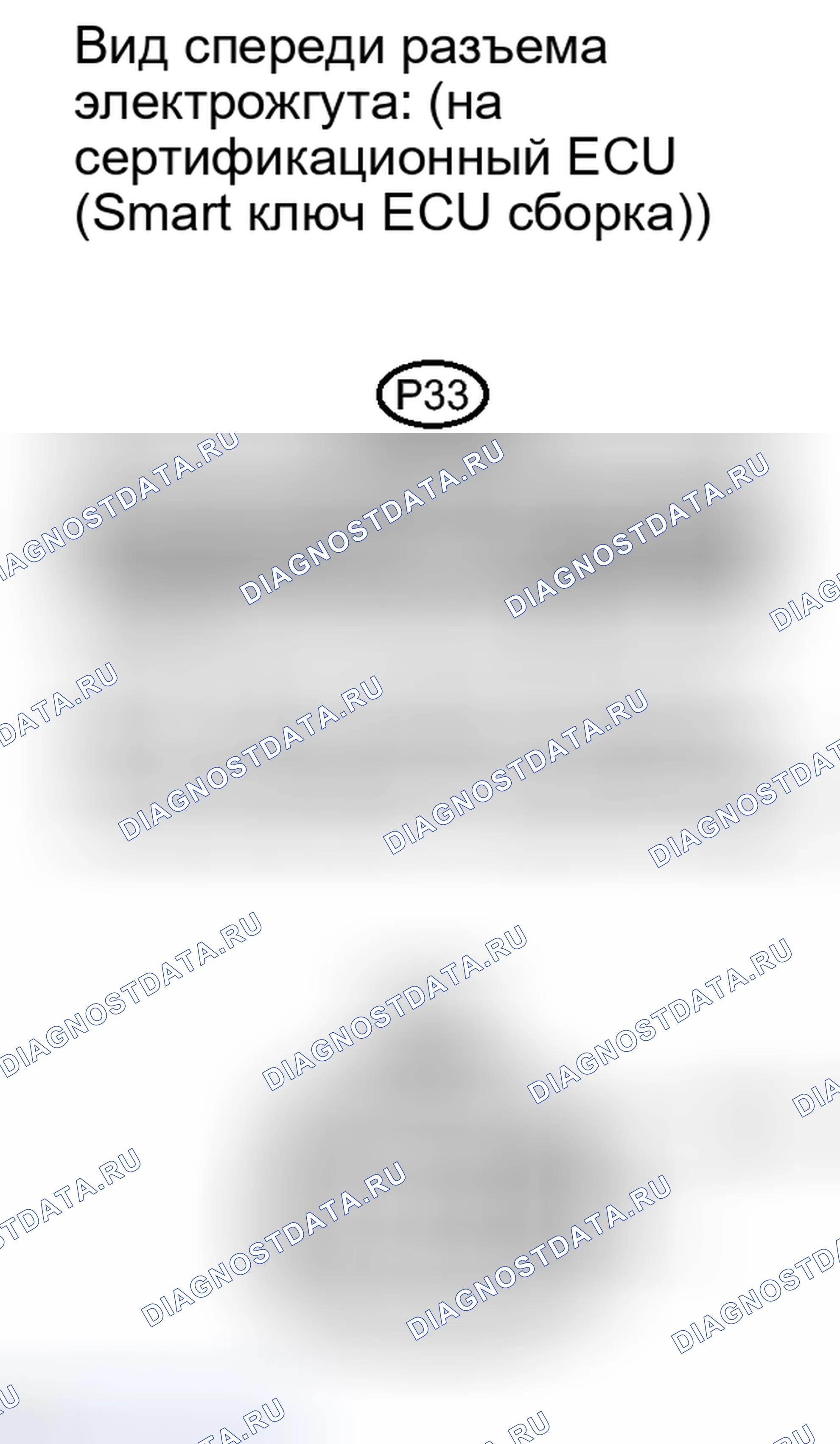 Рис. 231. Lexus IS F I