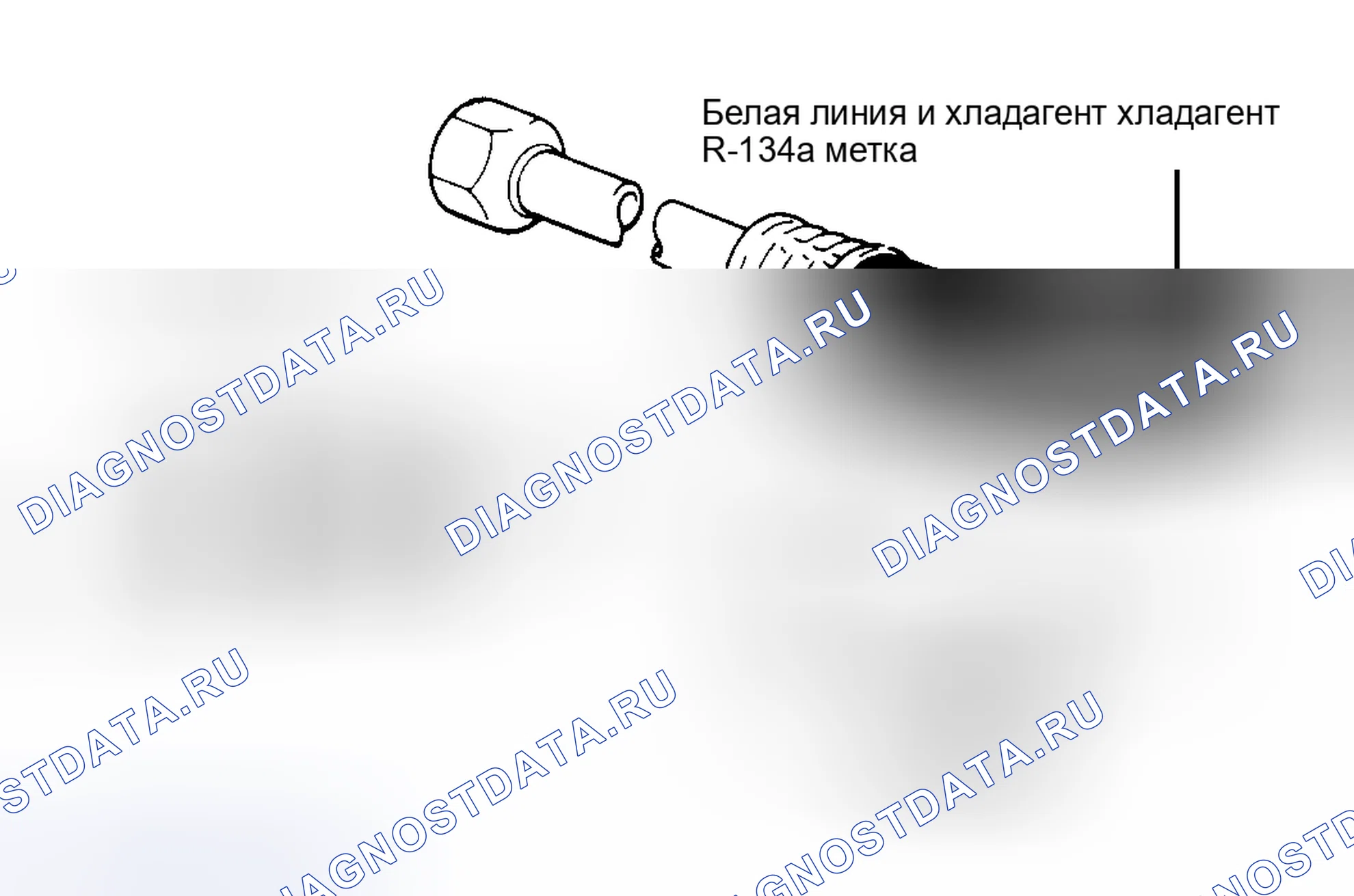 Рис. 20: Другие средства идентификации. Haval H9 I