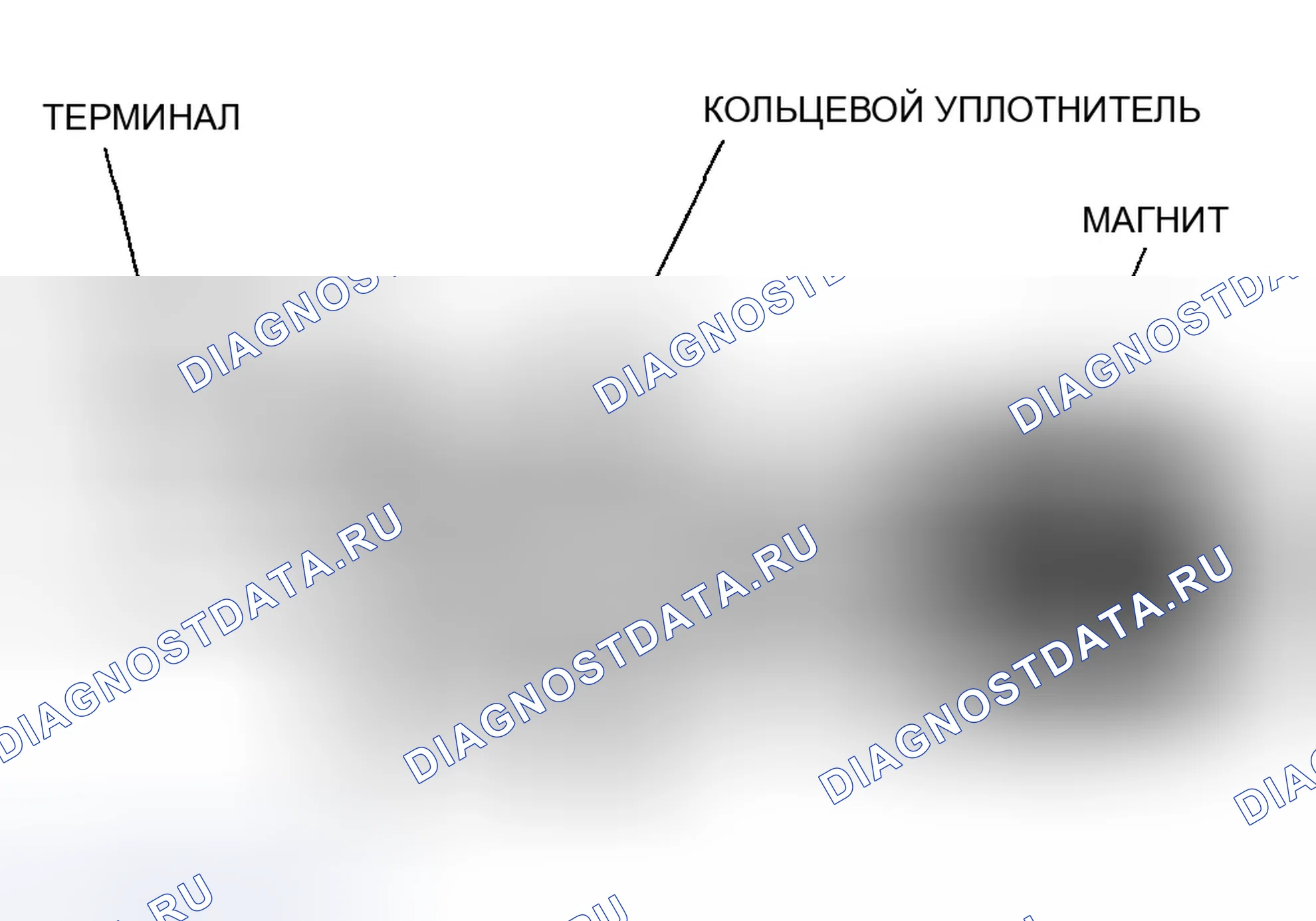 Рис. 37: Датчик положения коленчатого вала (положение коленвала). Honda CR-V II