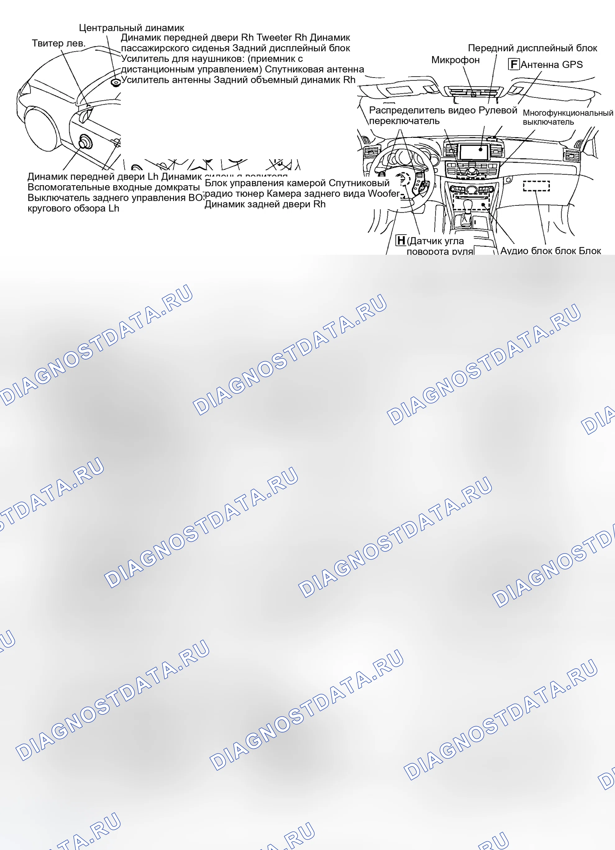 Рис. 205: Расположение компонентов. Infiniti M35 III