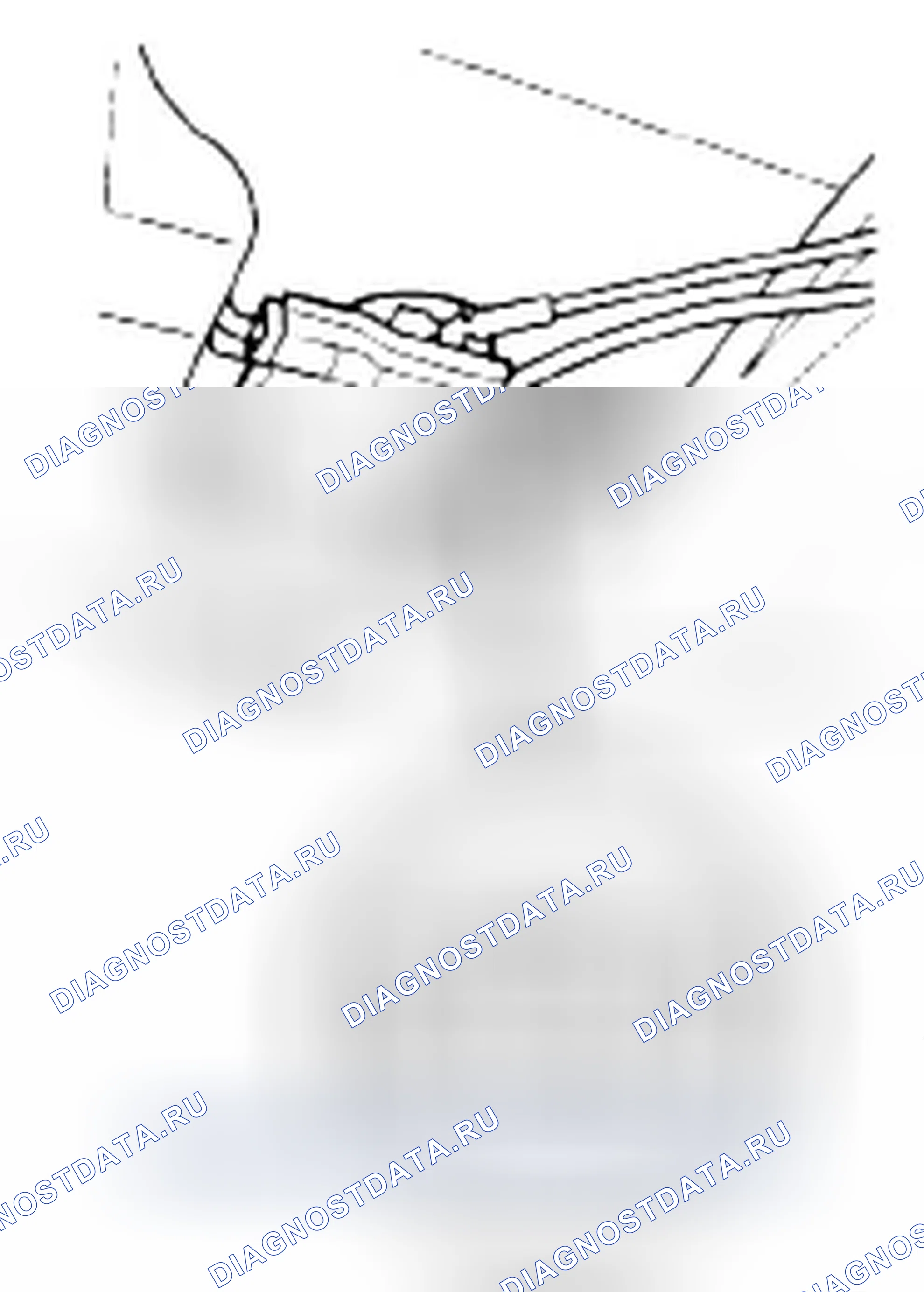 Рис. 46: Дверь багажника без питания. Honda Odyssey IV