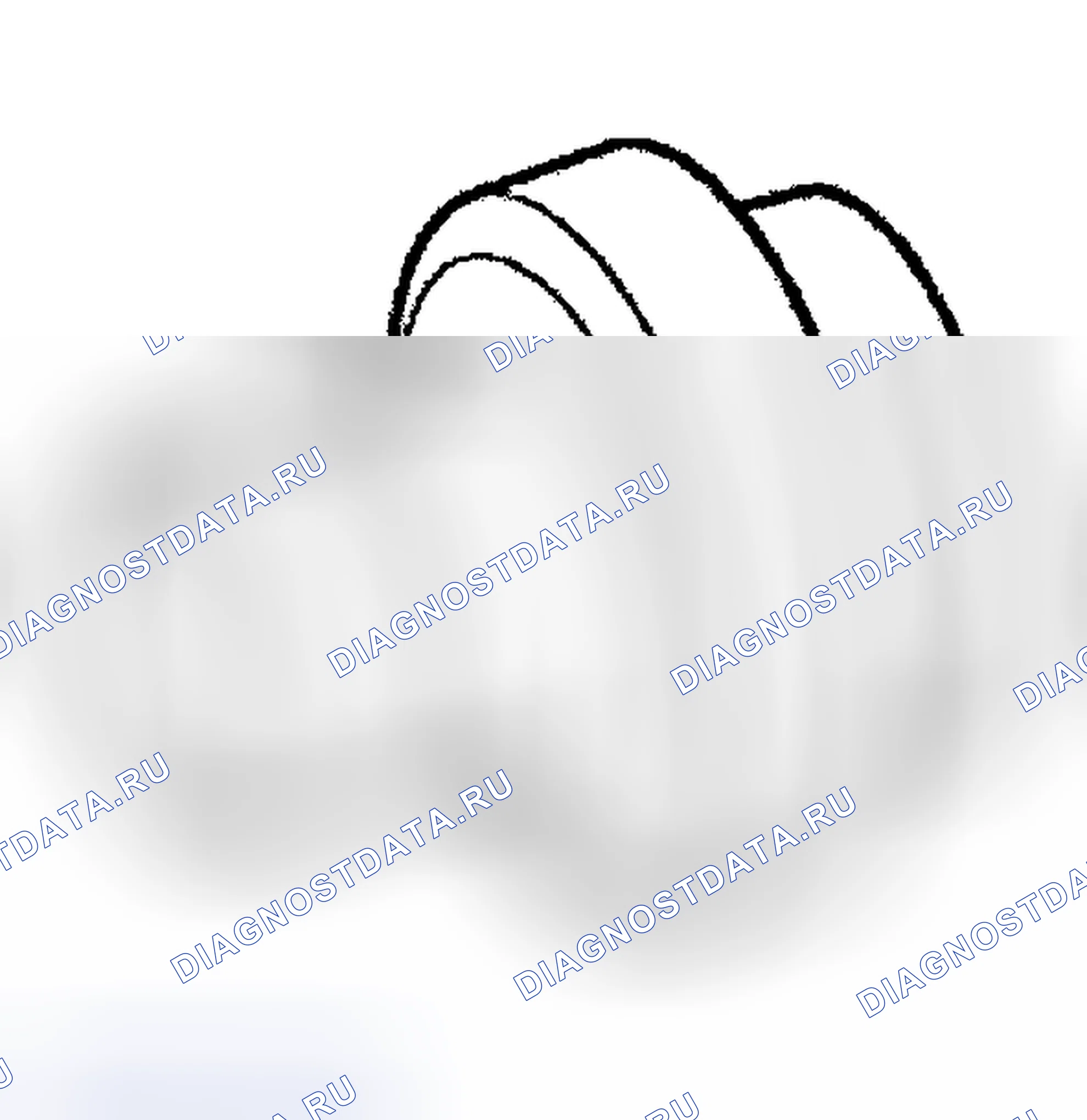 Рис. 3. BMW Z3 E36