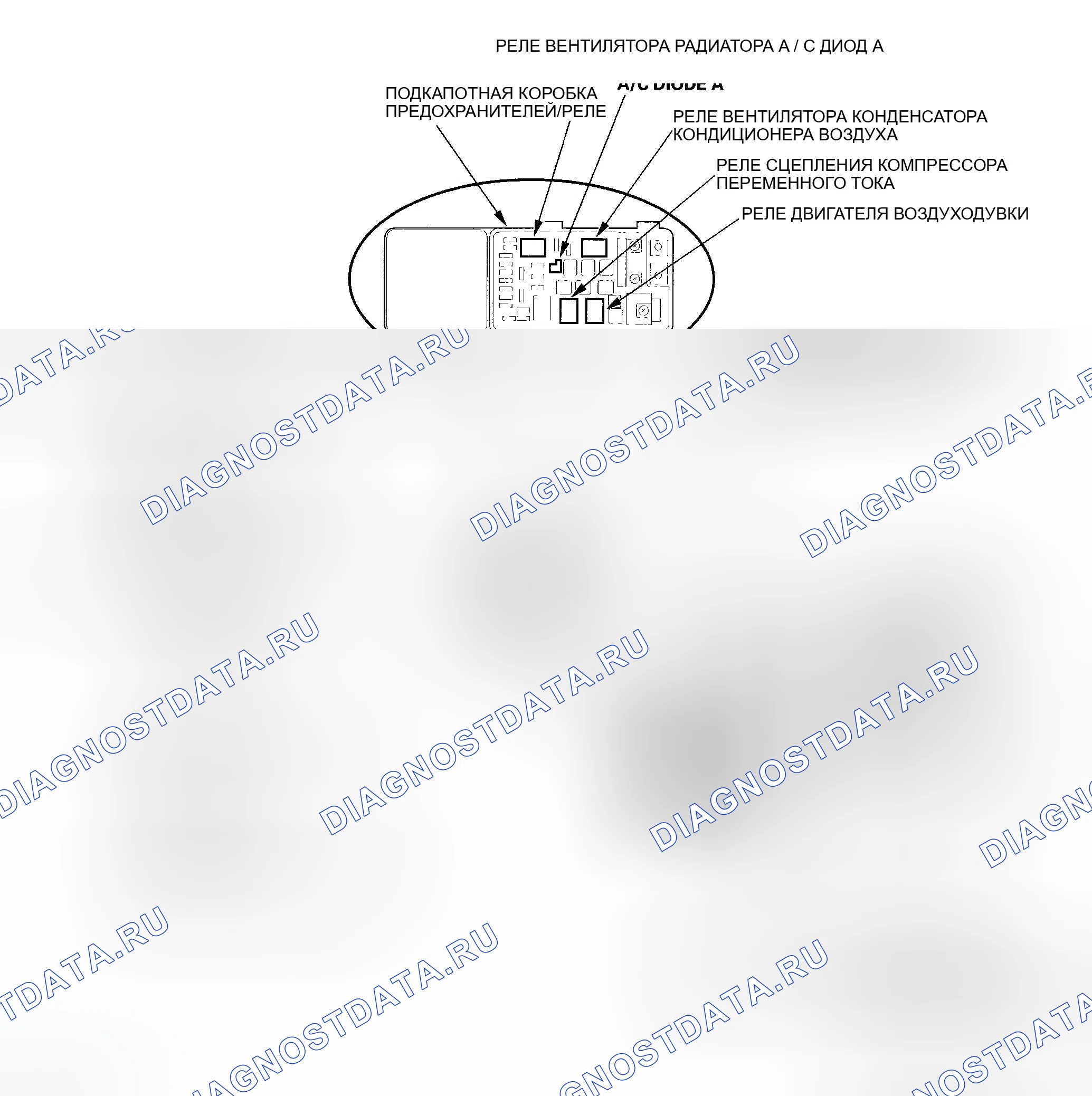 Рис. 2. Honda Odyssey III