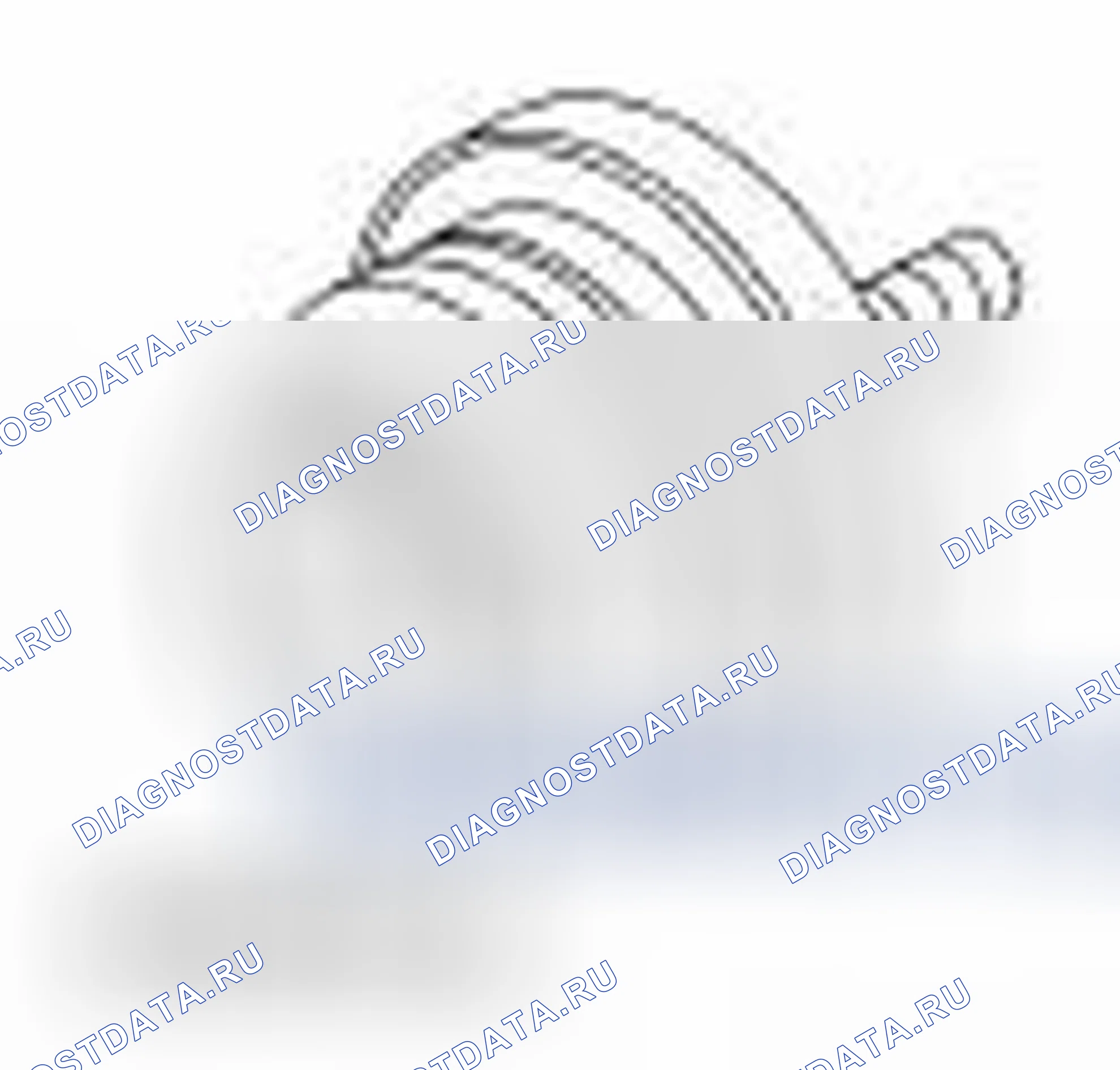 Рис. 23. Ford Mustang V