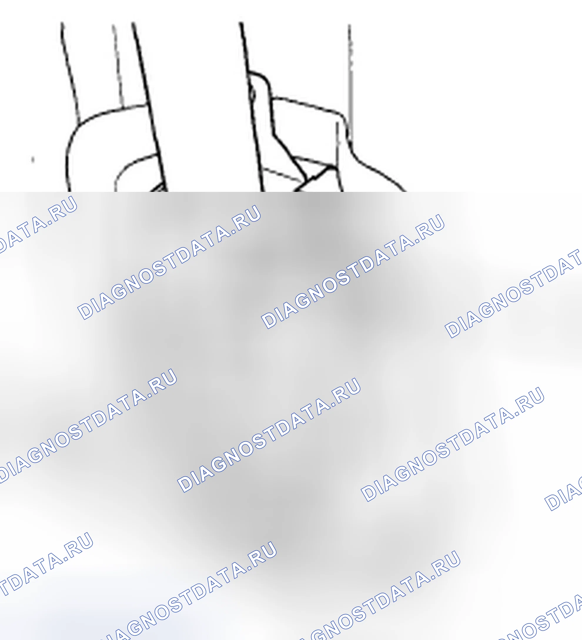 Рис. 629. Honda Accord VII рестайлинг
