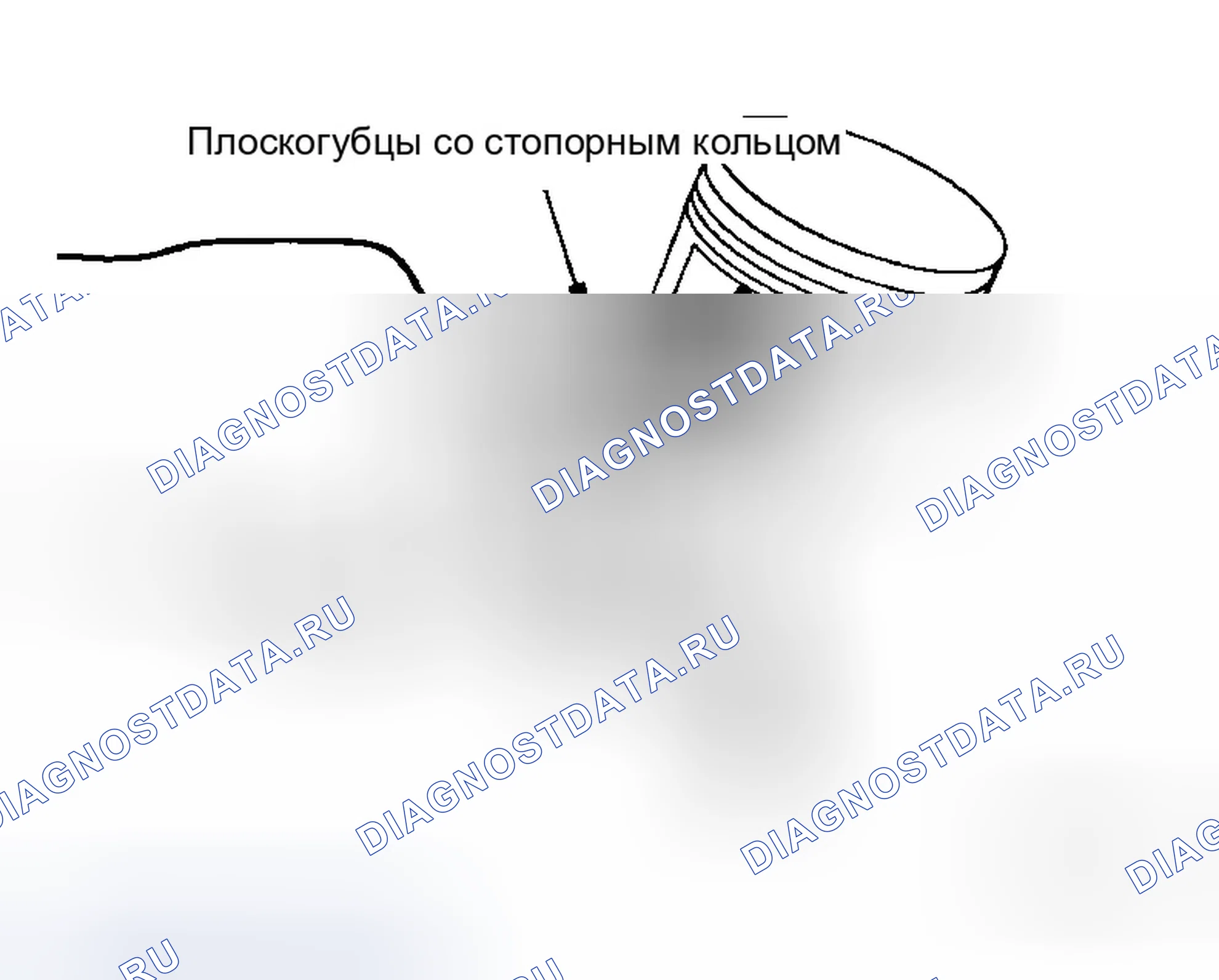 Рис. 208. Infiniti M35 III