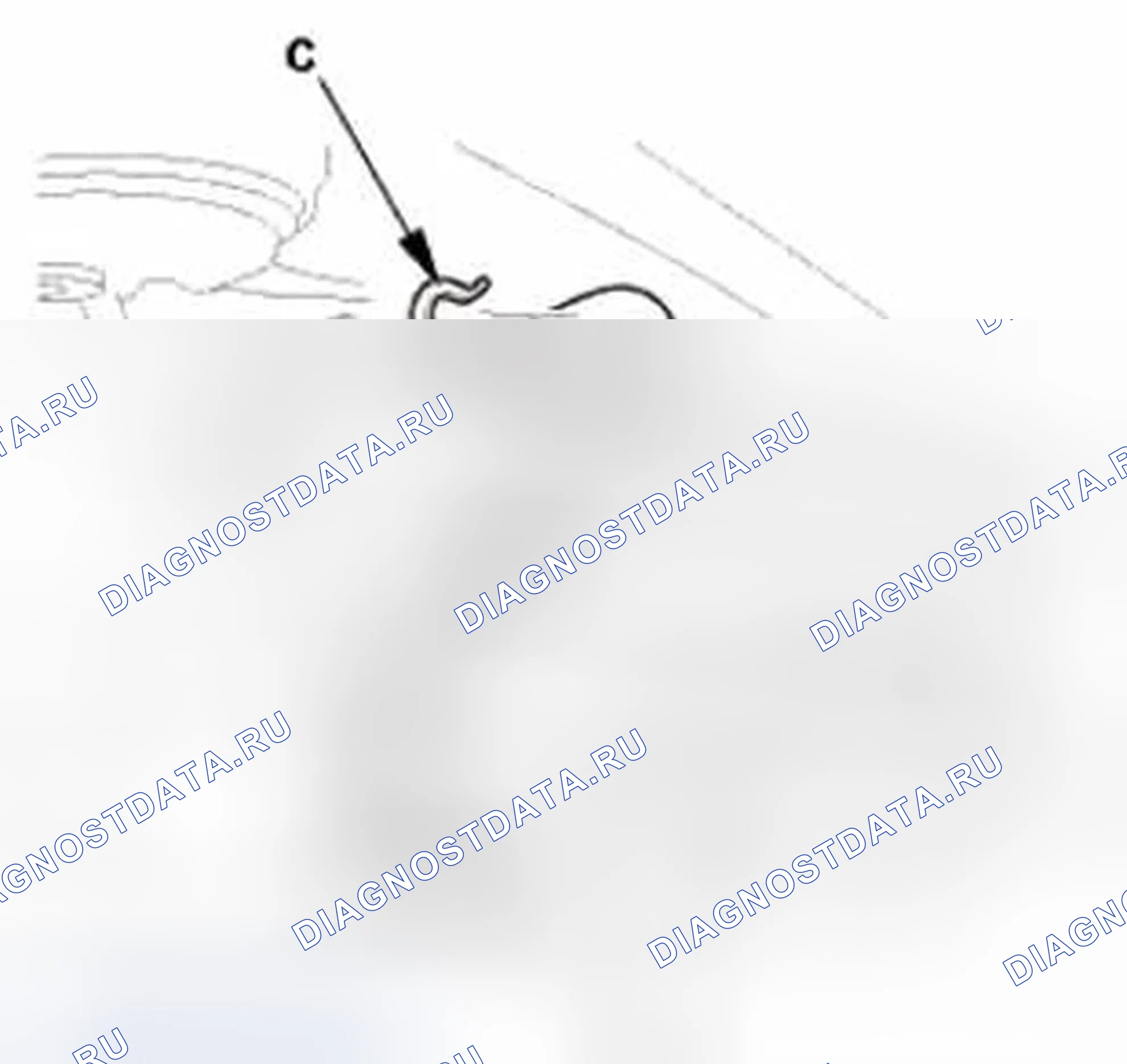 Рис. 180. Honda CR-V IV