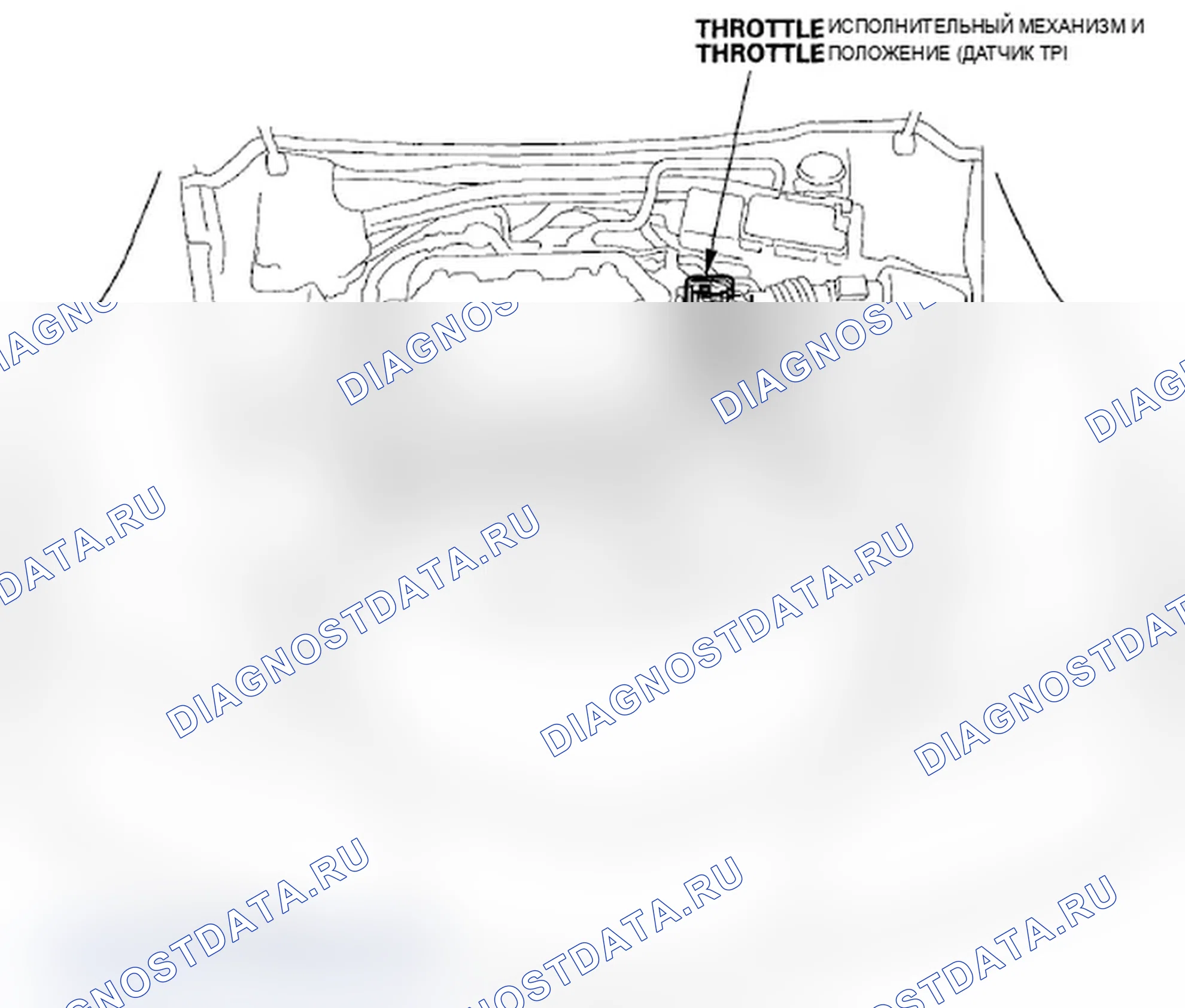 Рис. 243: Указатель расположения компонентов. Acura RL II рестайлинг