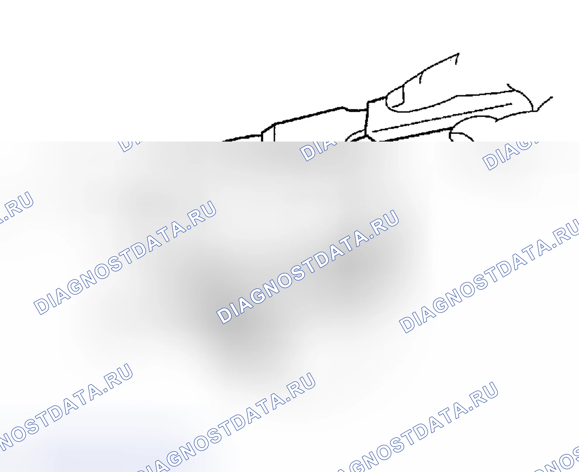 Рис. 249. Toyota MR2 W30